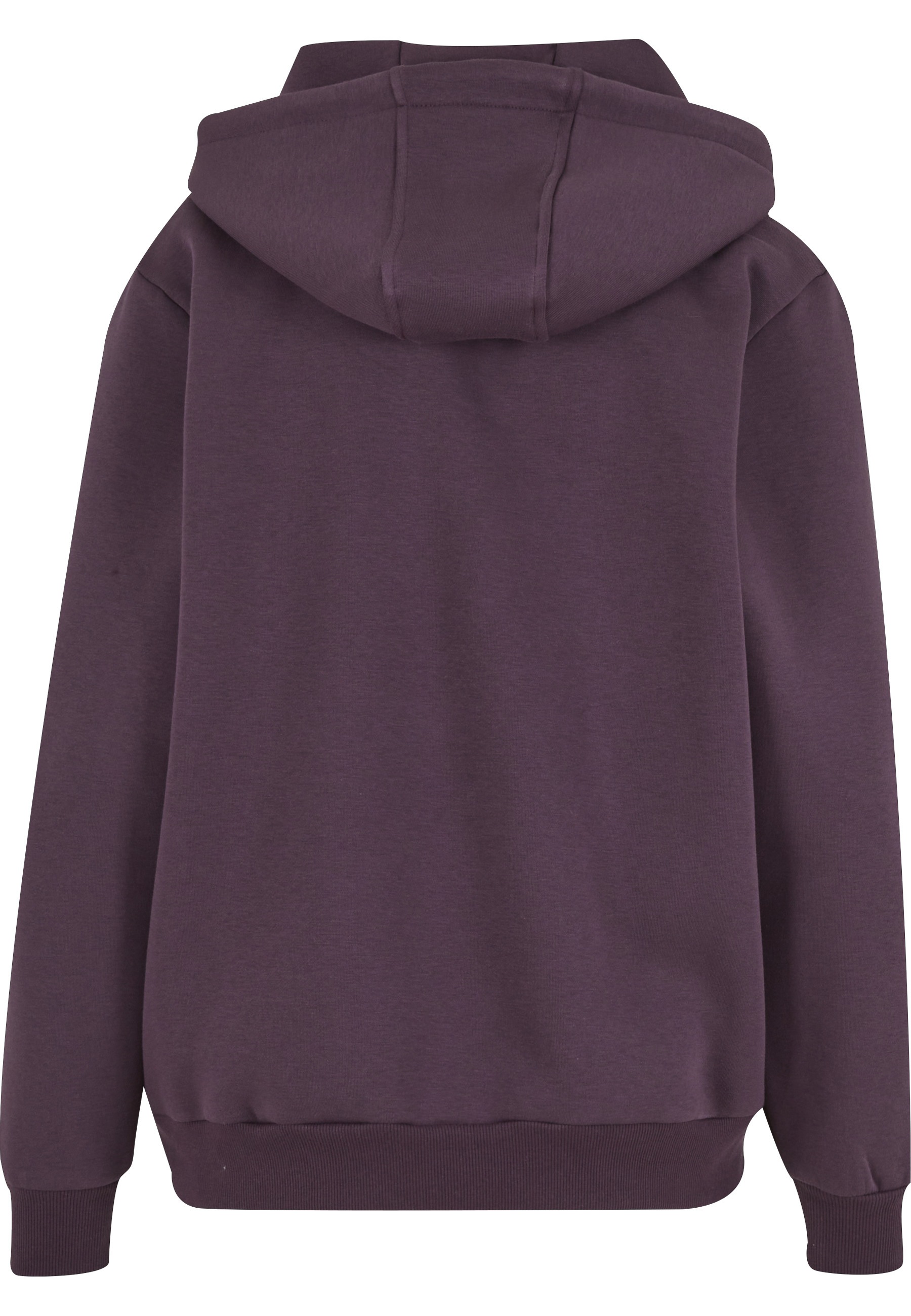 Miss Tee Kapuzenpullover »Miss Tee New York Ladies Fluffy Hoody« 1