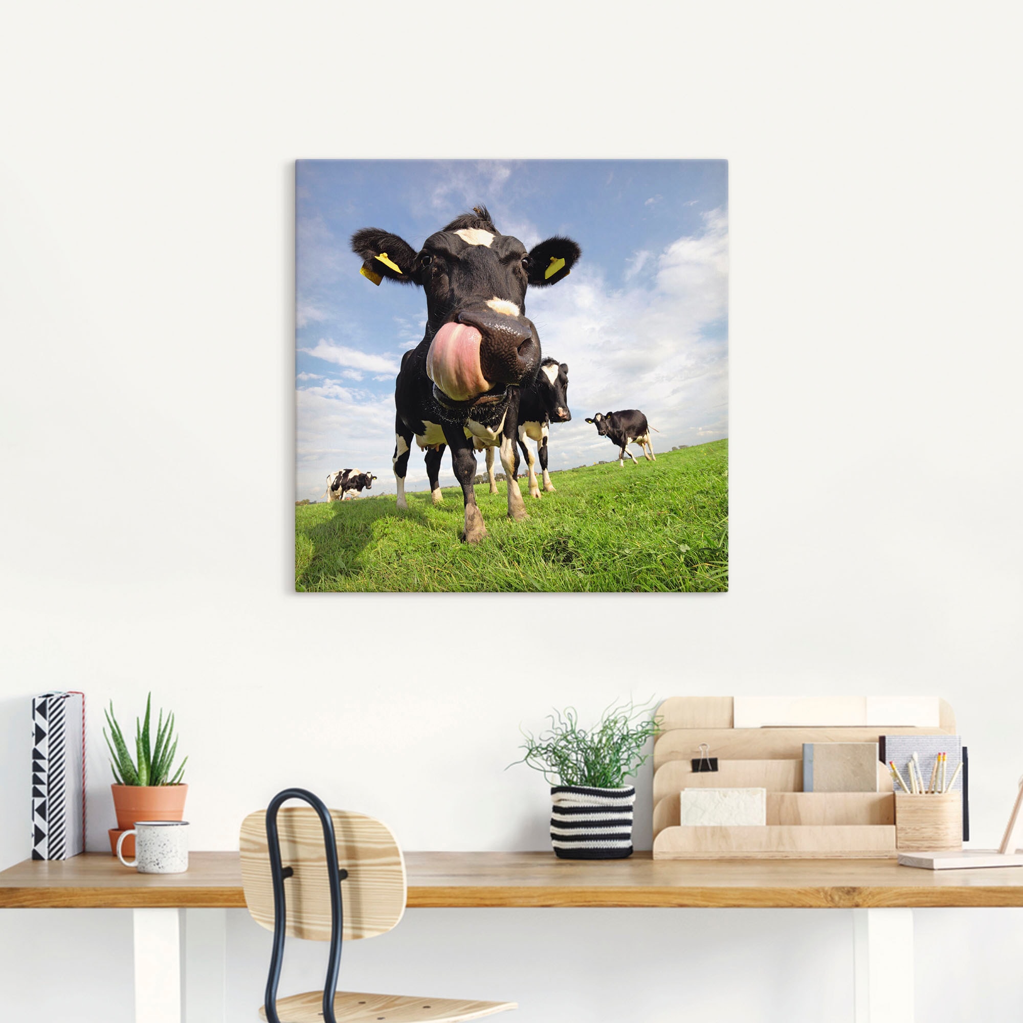 Artland Wandbild »Holstein-Kuh mit gewaltiger Zunge«, Haustiere, (1 St.), als Alubild, Outdoorbild, Leinwandbild, Poster, Wandaufkleber