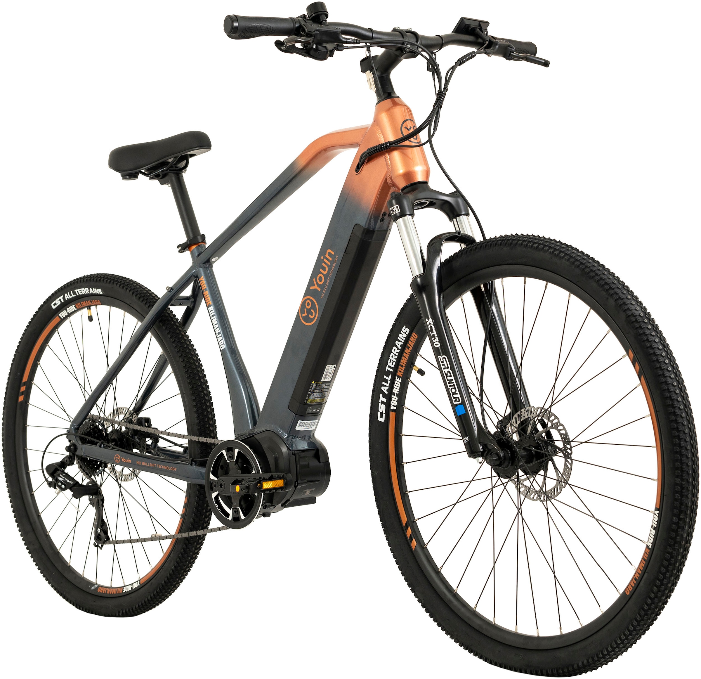 TOTEM E-Bike »FJ-M«, 8 Gang, Shimano, Tourney, Mittelmotor 250 W, Pedelec, Elektrofahrrad für Damen u. Herren, MTB, Mountainbike