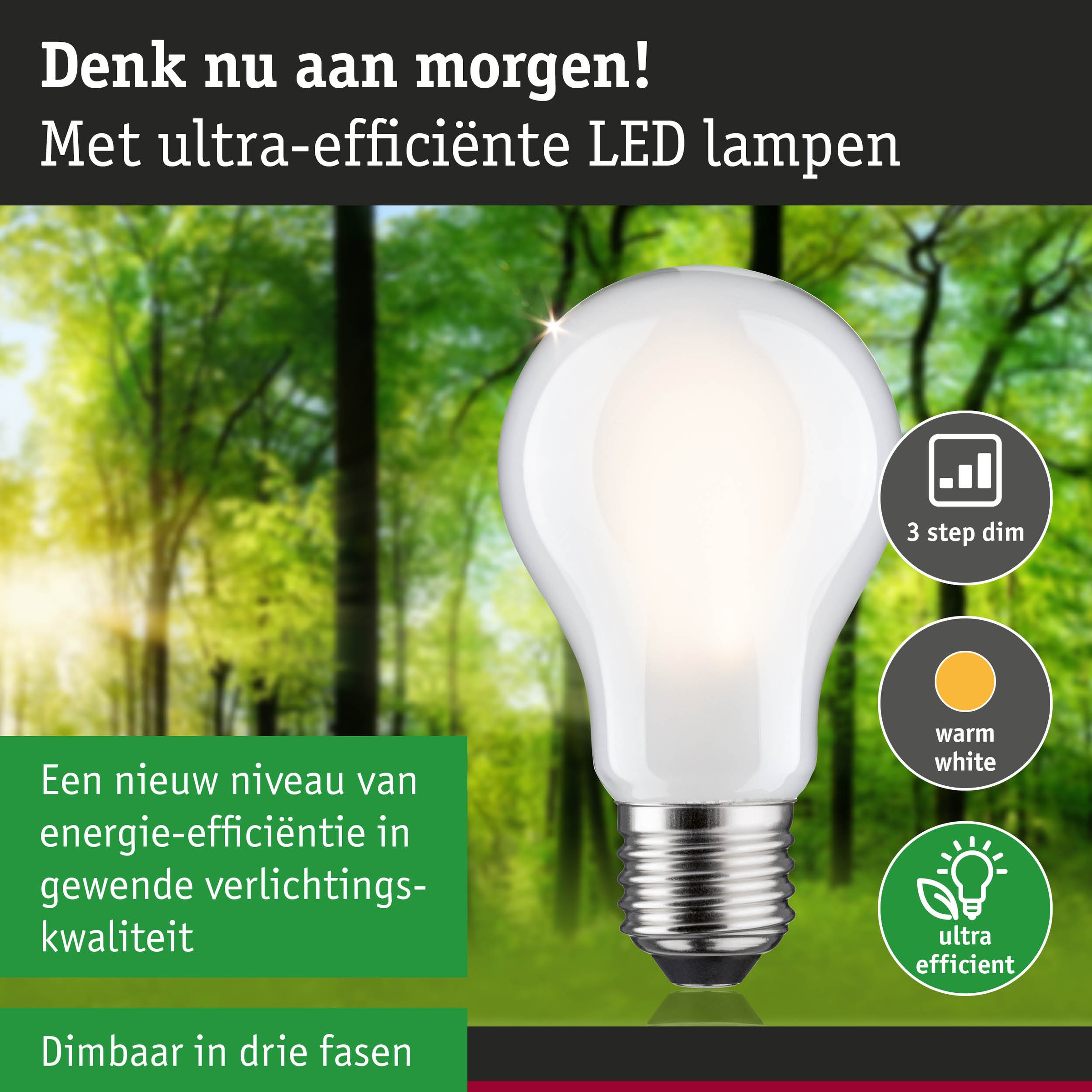 Paulmann LED-Leuchtmittel »Eco-Line Filament 230V LED Birne E27 806lm 4,3W 3000K dimmbar Matt«, E27, 1 St., Warmweiß