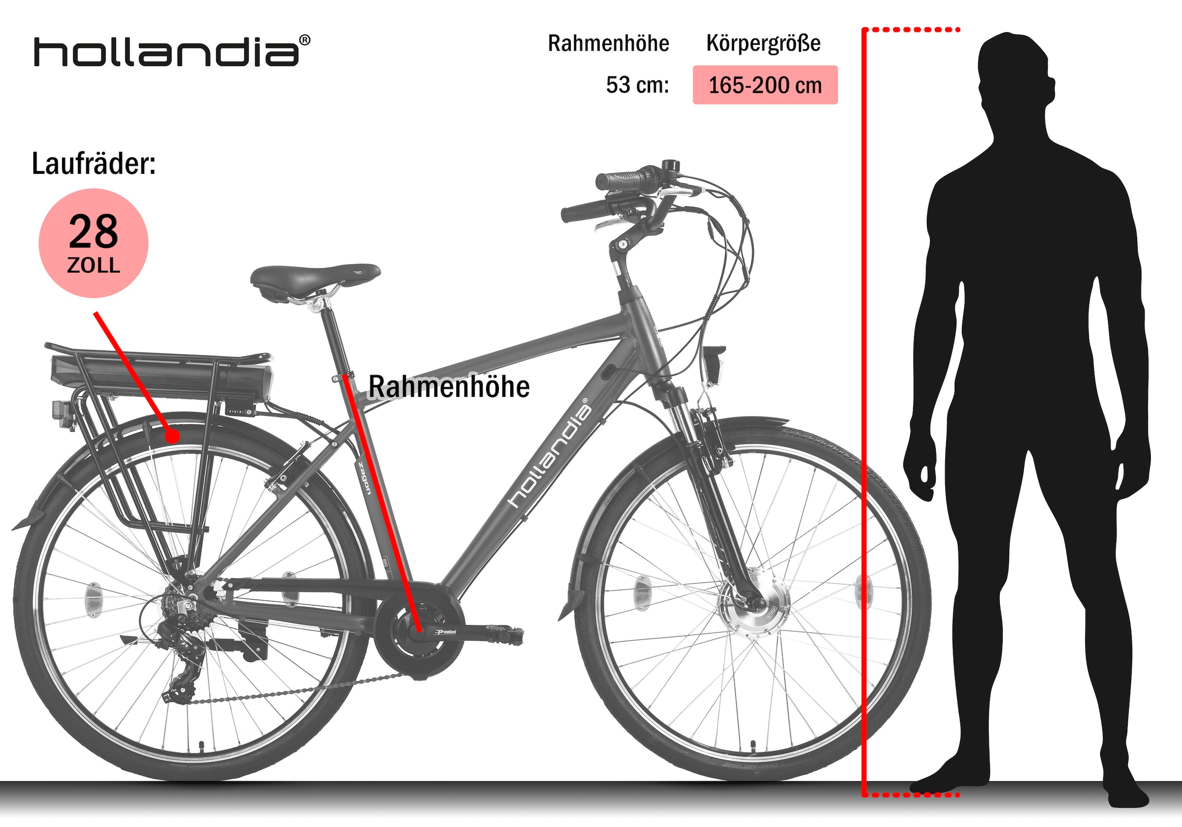 Hollandia »Zagon« 6 Gang Shimano Tourney Schaltwerk Kettenschaltung Frontmotor 250 W Pedelec, Elektrofahrrad für Damen u. Herren