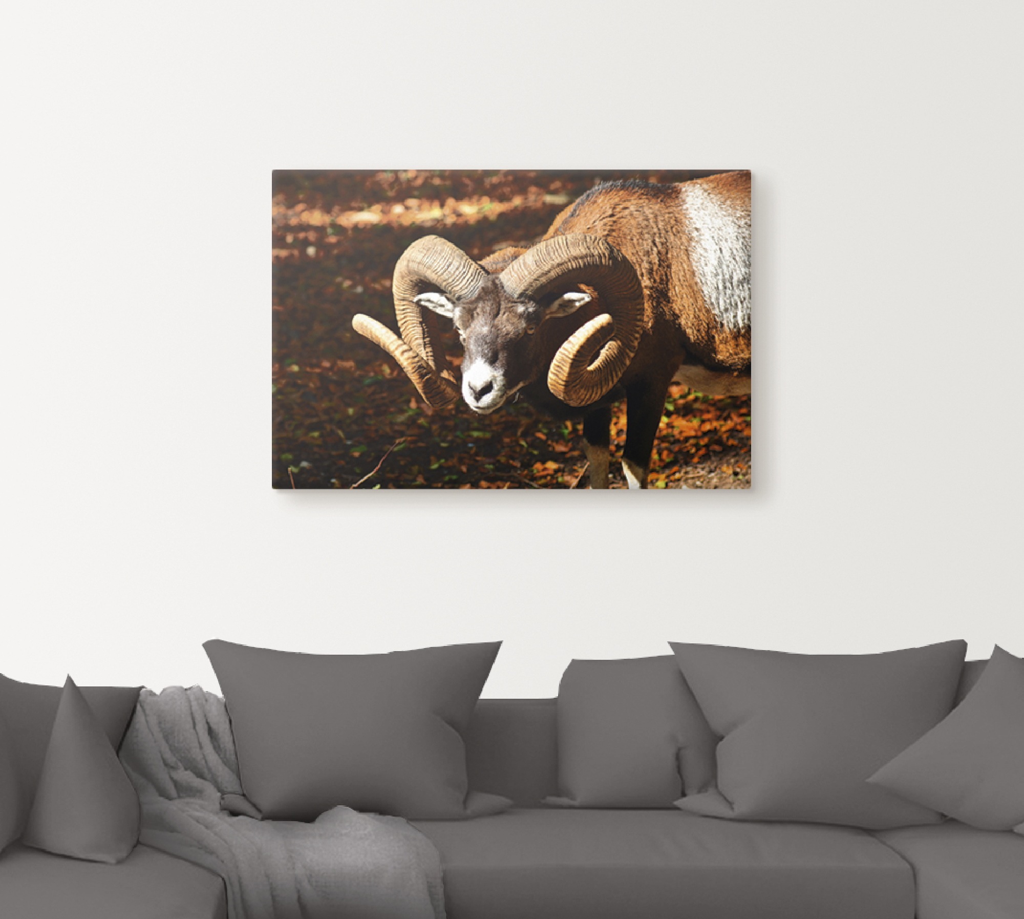 Artland Leinwandbild »Mufflon«, Wildtiere, (1 St.), auf Keilrahmen gespannt