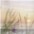 natur