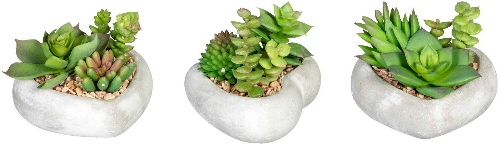 Creativ green Künstliche Zimmerpflanze "Sukkulentenarrangement", in Zementschale, 3er Set