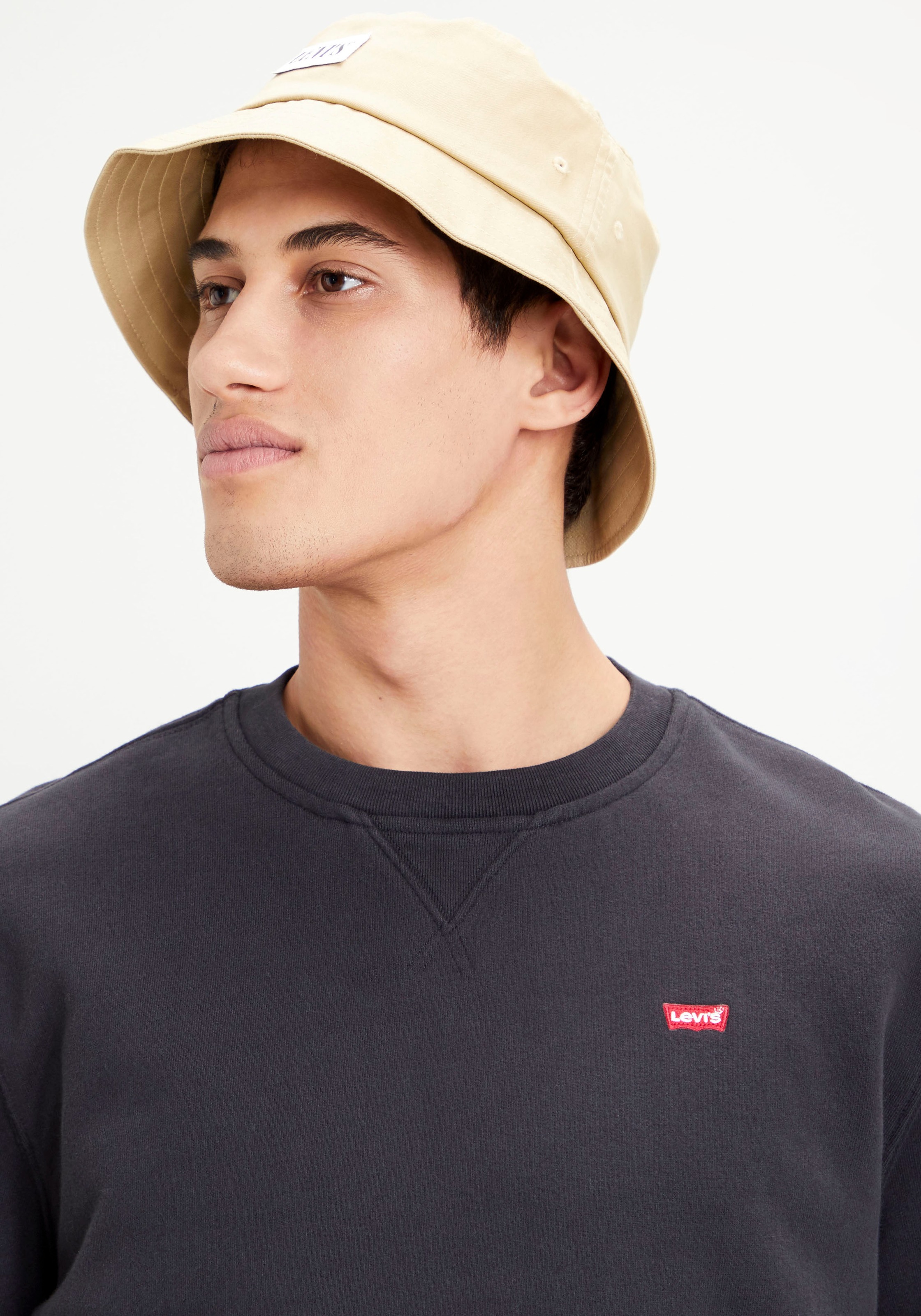 Levis Sweatshirt "SWEATSHIRT NEW ORIGINAL CREW", Innen weich angeraut günstig online kaufen