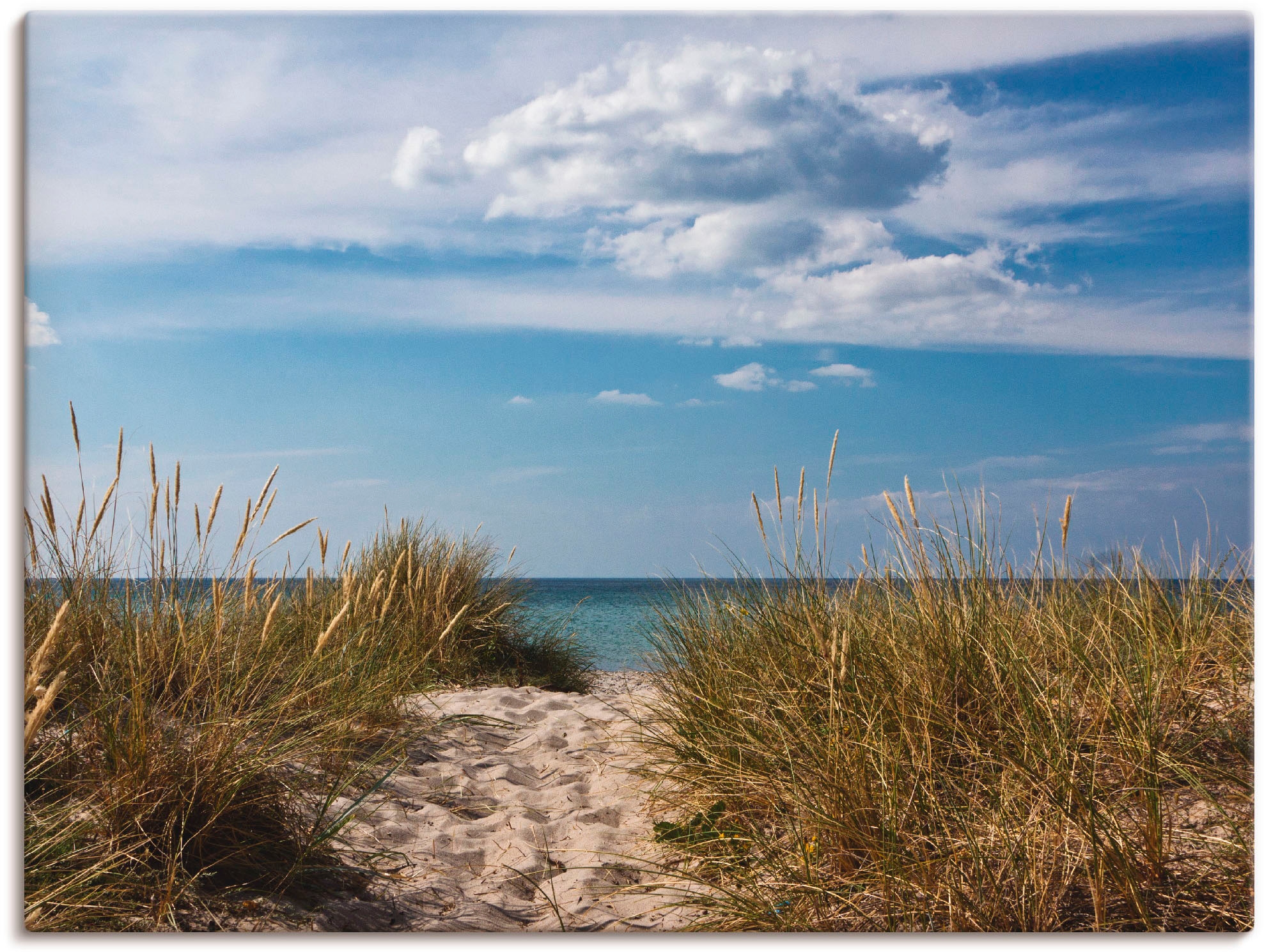 Artland Wandbild "Ostseestrand in Dänemark", Strand, (1 St.), als Leinwandbild, Poster in verschied. Größen