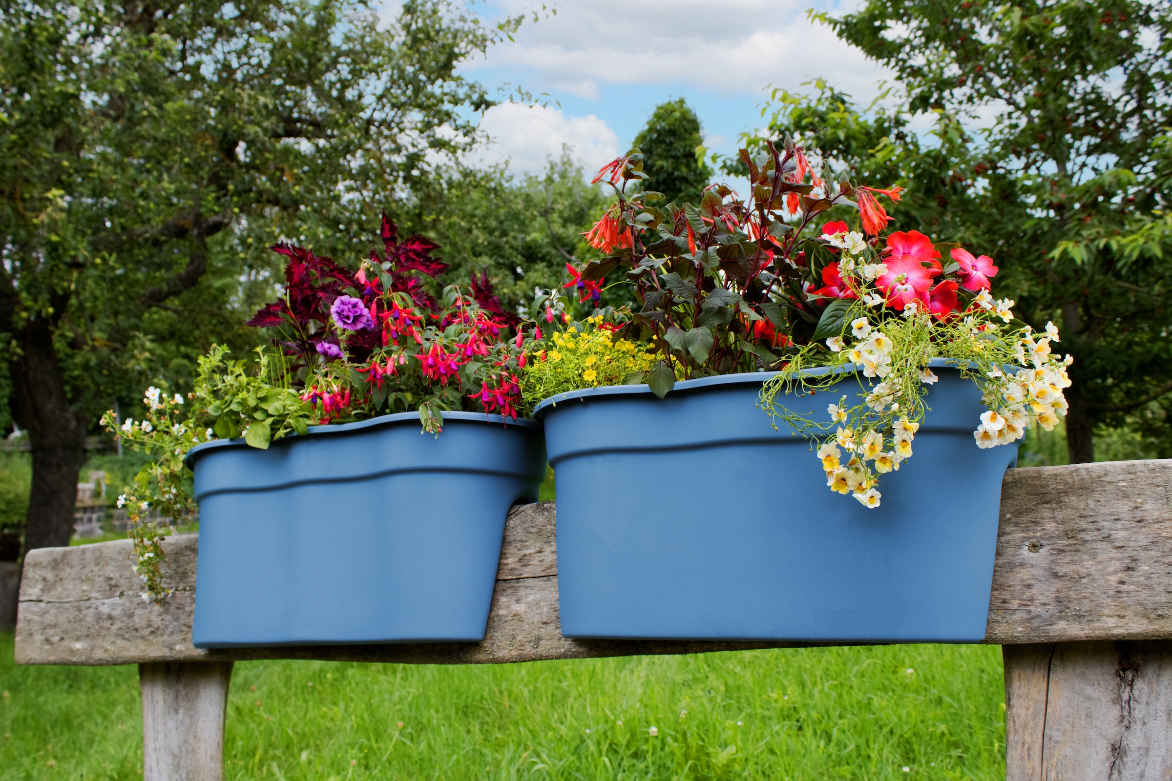 KHW Balkonkasten "Flowerclip XXL" BxTxH: 57,5x27,7x27 cm günstig online kaufen