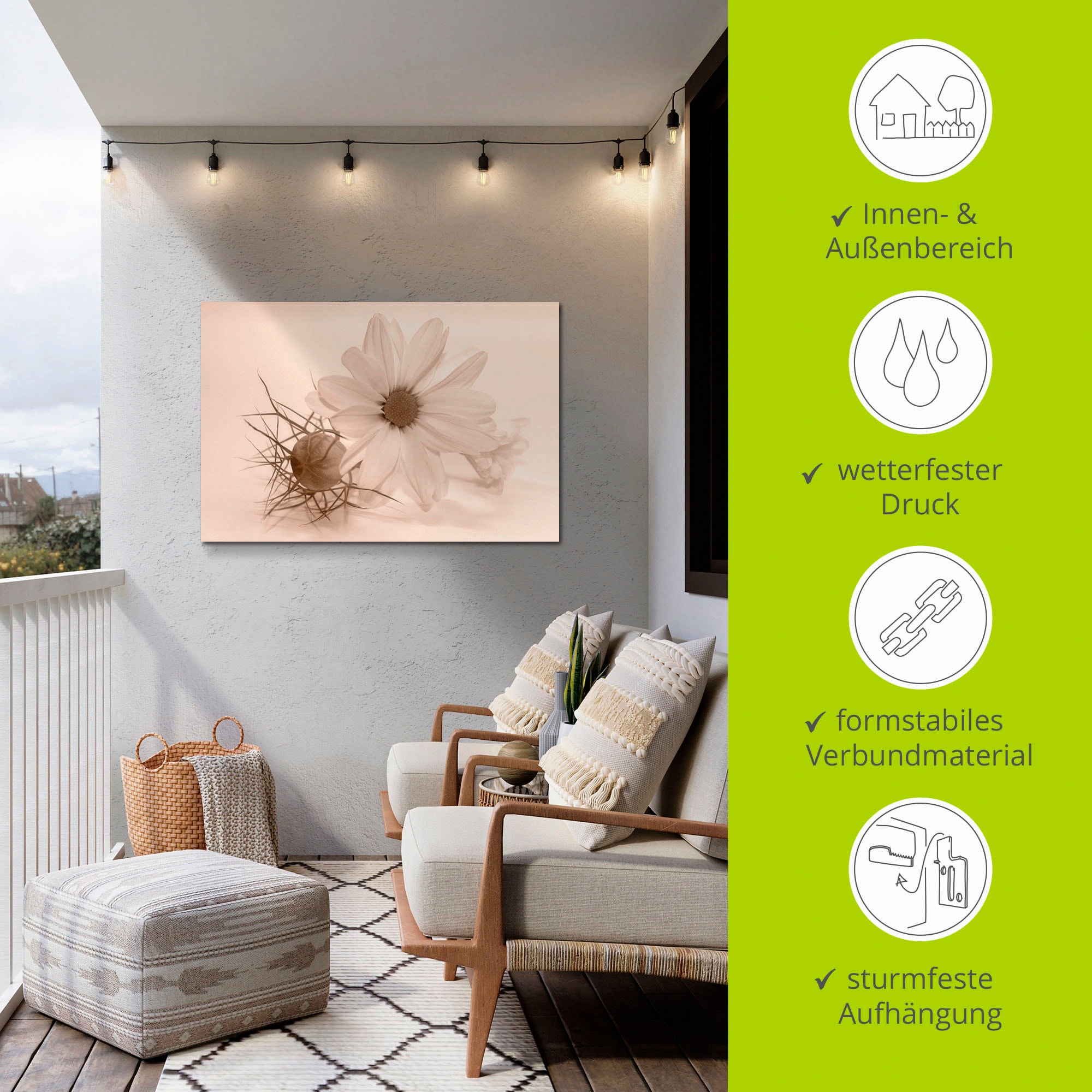 Artland Wandbild »Chrysantheme«, Blumen, (1 St.), als Alubild, Outdoorbild, Poster in verschied. Größen