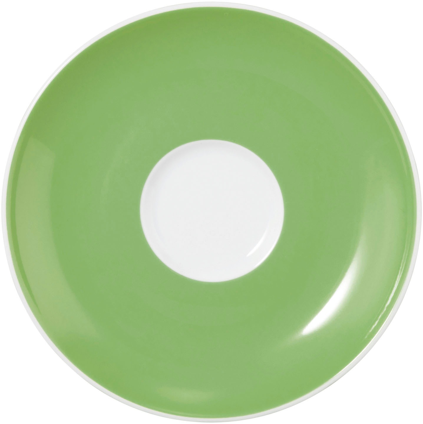 Seltmann Weiden Liberty Meadow Grasses Green Espresso Saucer