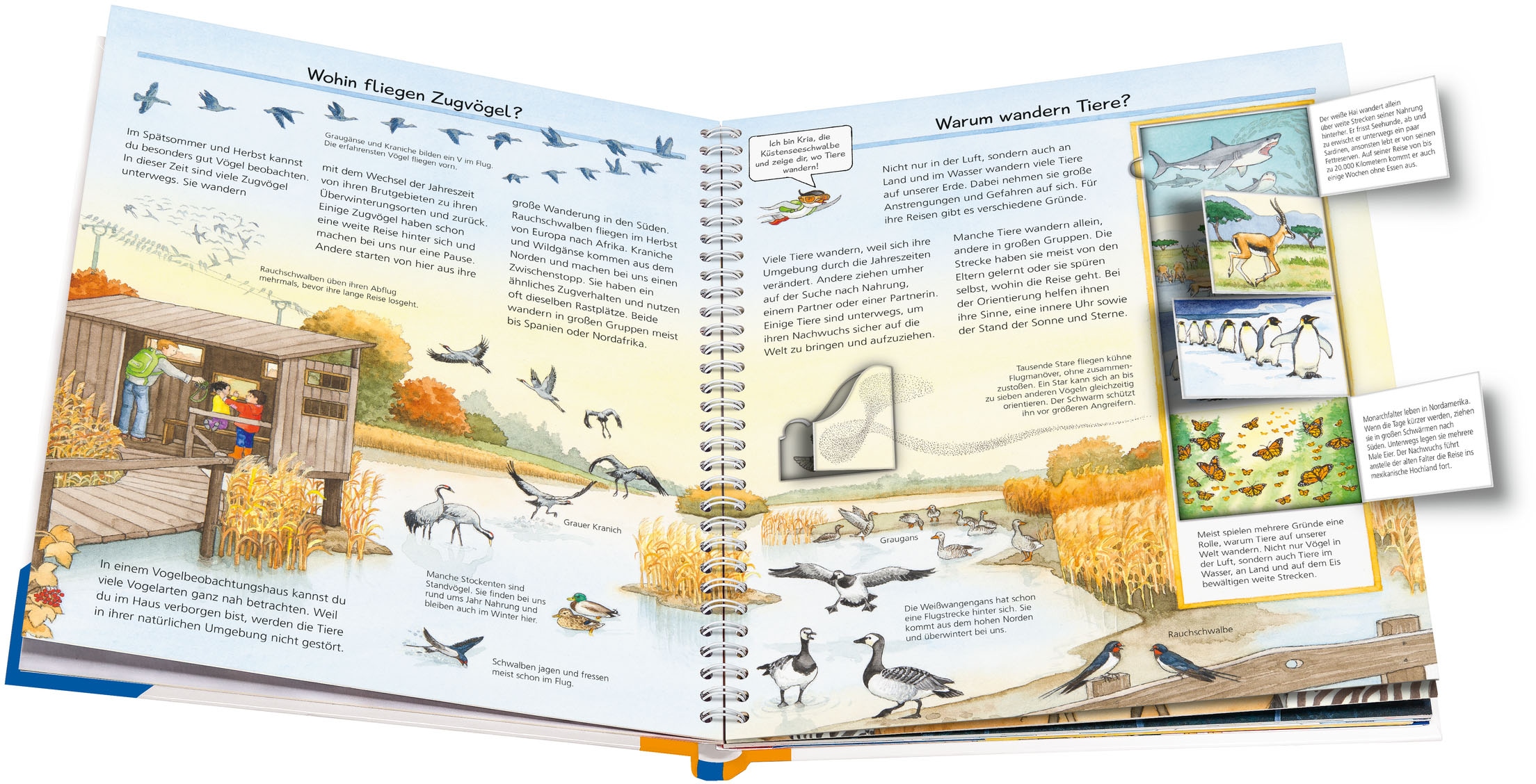 Ravensburger Buch »Wieso? Weshalb? Warum?, Band 37: Alles über Tierwanderungen«, Made in Europe