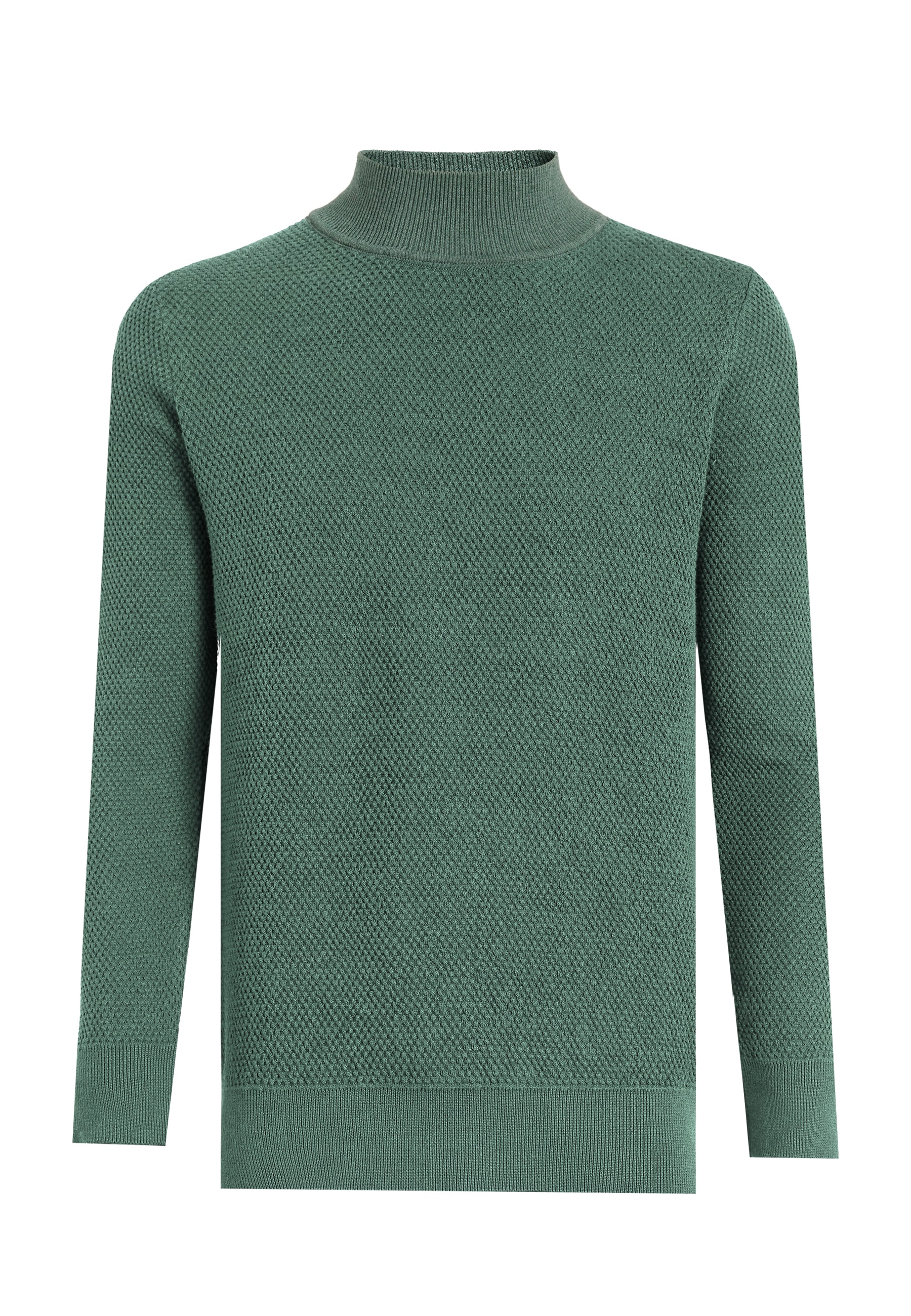 Felix Hardy Rollkragenpullover "Rollkragenpullover"