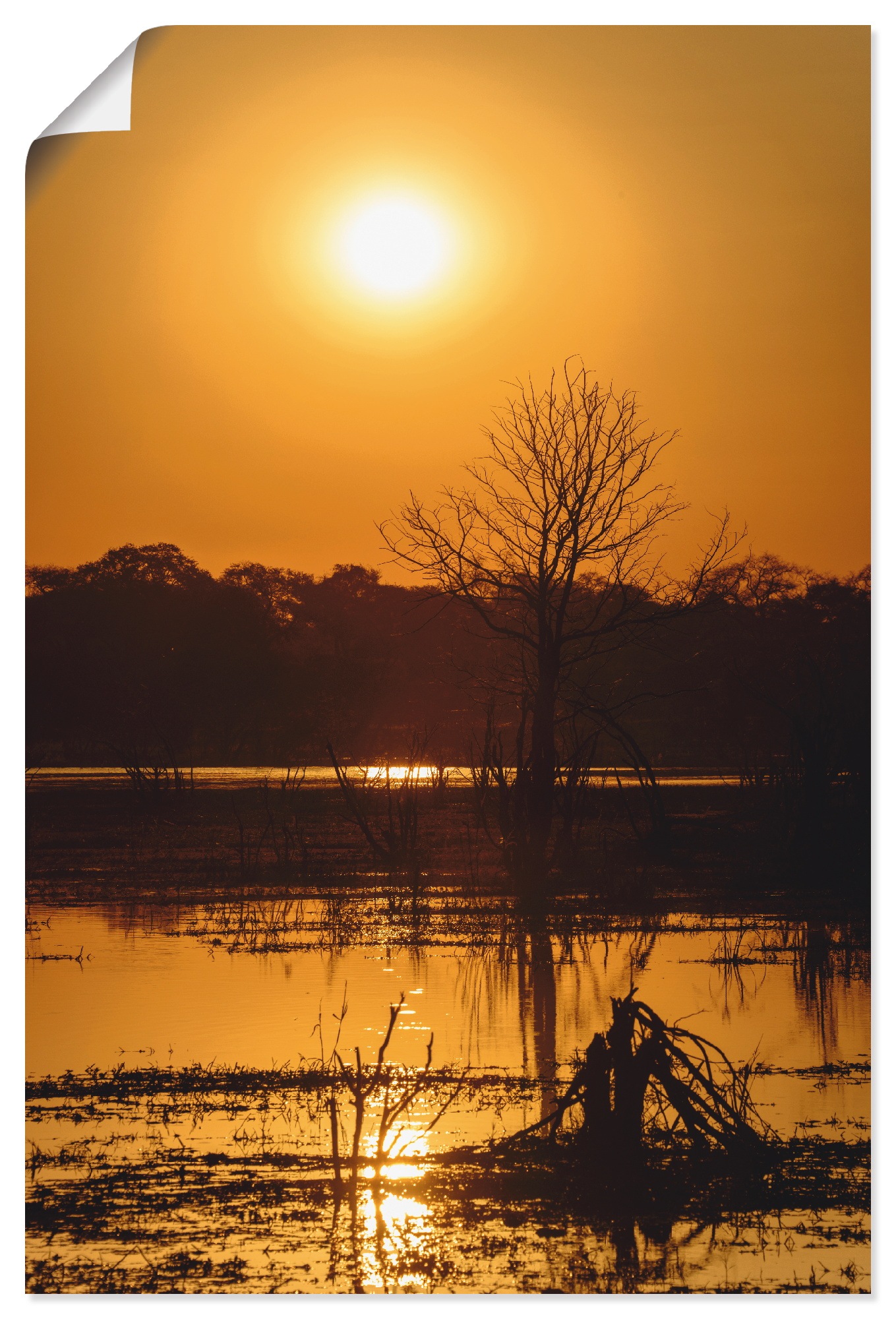 Artland Poster "Sonnenuntergang II", Afrika, (1 St.), als Alubild, Leinwand günstig online kaufen