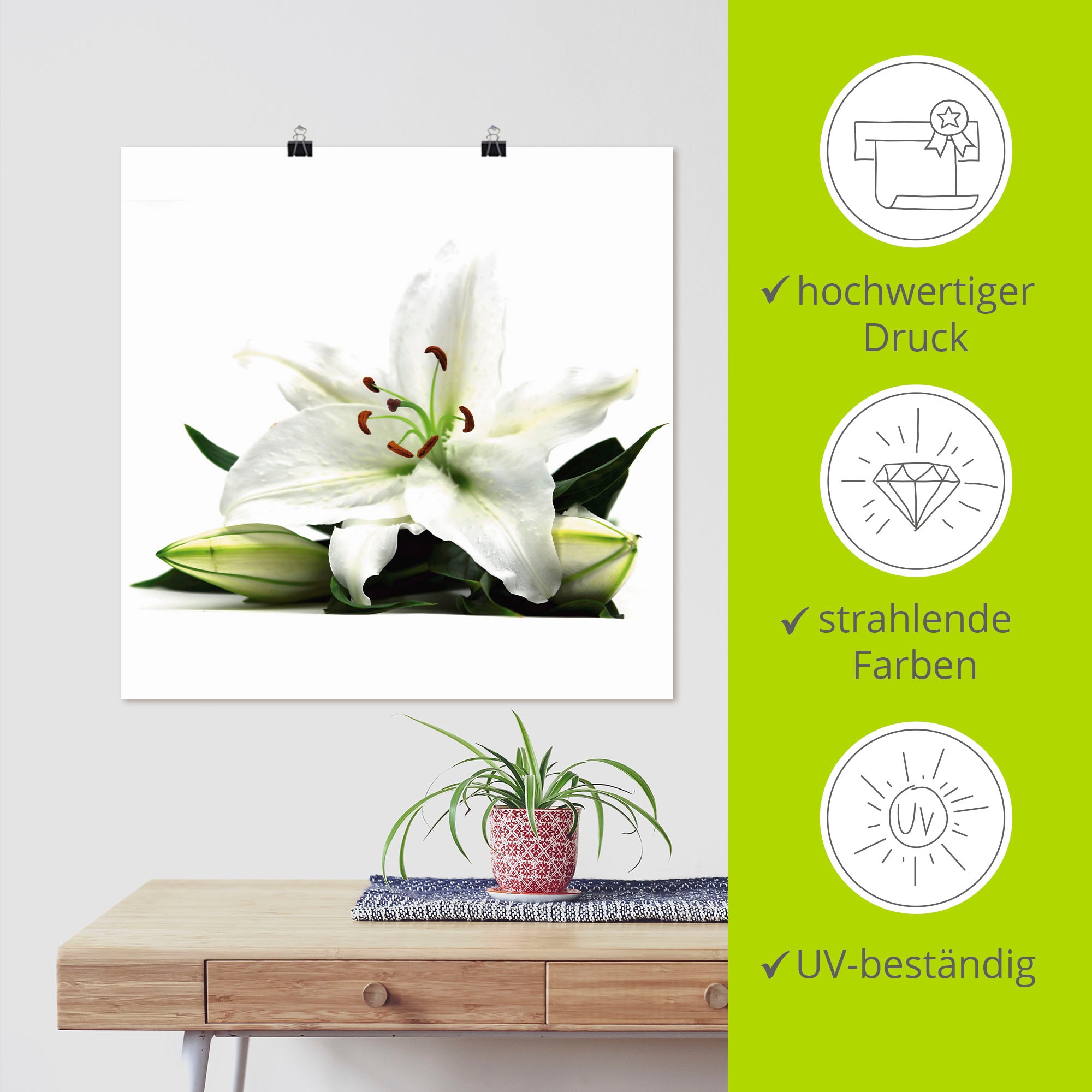 Artland Wandbild »Große Lilie«, Blumen, (1 St.), als Leinwandbild, Poster in verschied. Größen