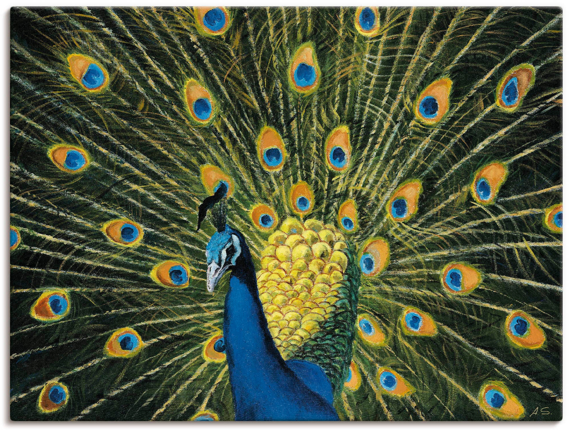 Artland Wandbild »Pfau«, Vögel, (1 St.), als Alubild, Outdoorbild, Leinwandbild, Poster, Wandaufkleber