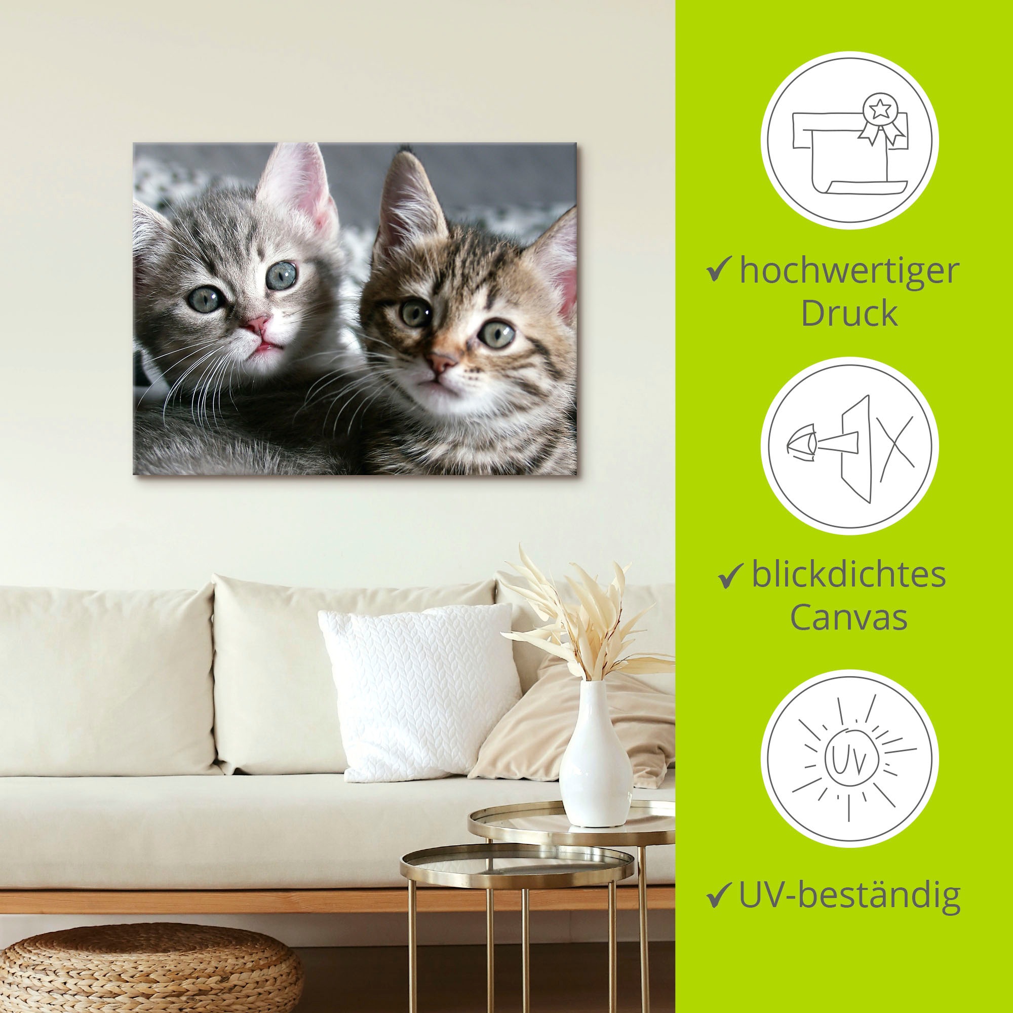 Artland Wandbild »Katze«, Haustiere, (1 St.), als Alubild, Outdoorbild, Leinwandbild, Poster, Wandaufkleber