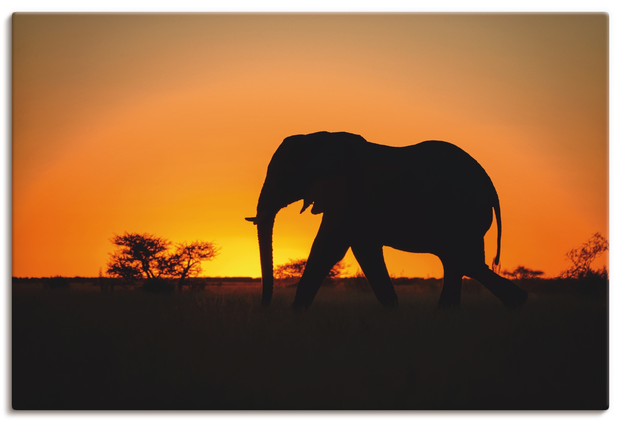 Artland Leinwandbild "Afrikanischer Elefant im Sonnenuntergang", Wildtiere, (1 St.), auf Keilrahmen gespannt