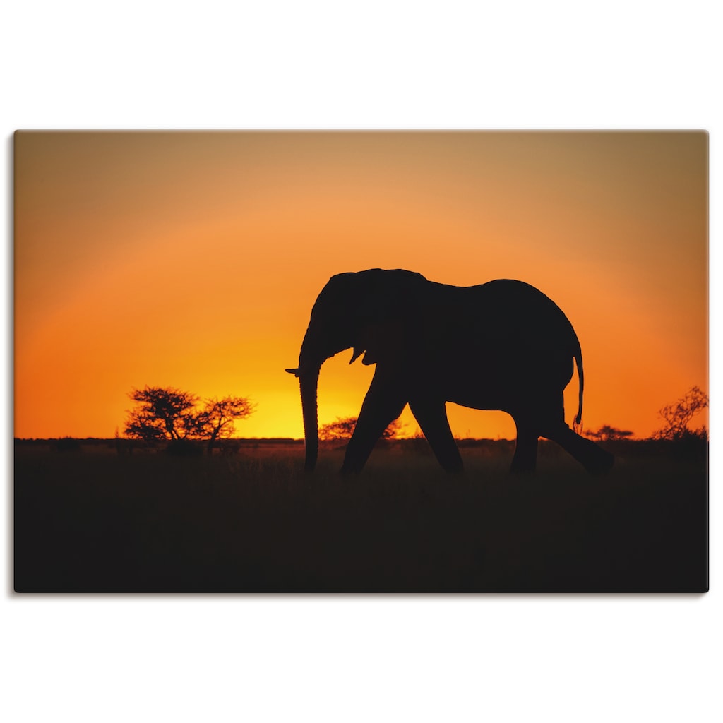 Artland Leinwandbild »Afrikanischer Elefant im Sonnenuntergang«, Wildtiere, (1 St.)