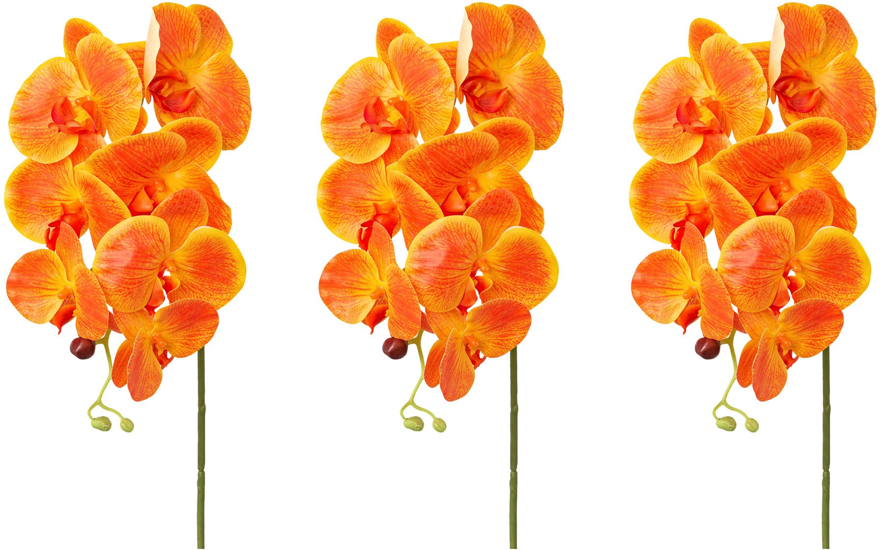 Creativ green Kunstorchidee "Orchidee Phalaenopsis", mit real-touch-Blüten günstig online kaufen