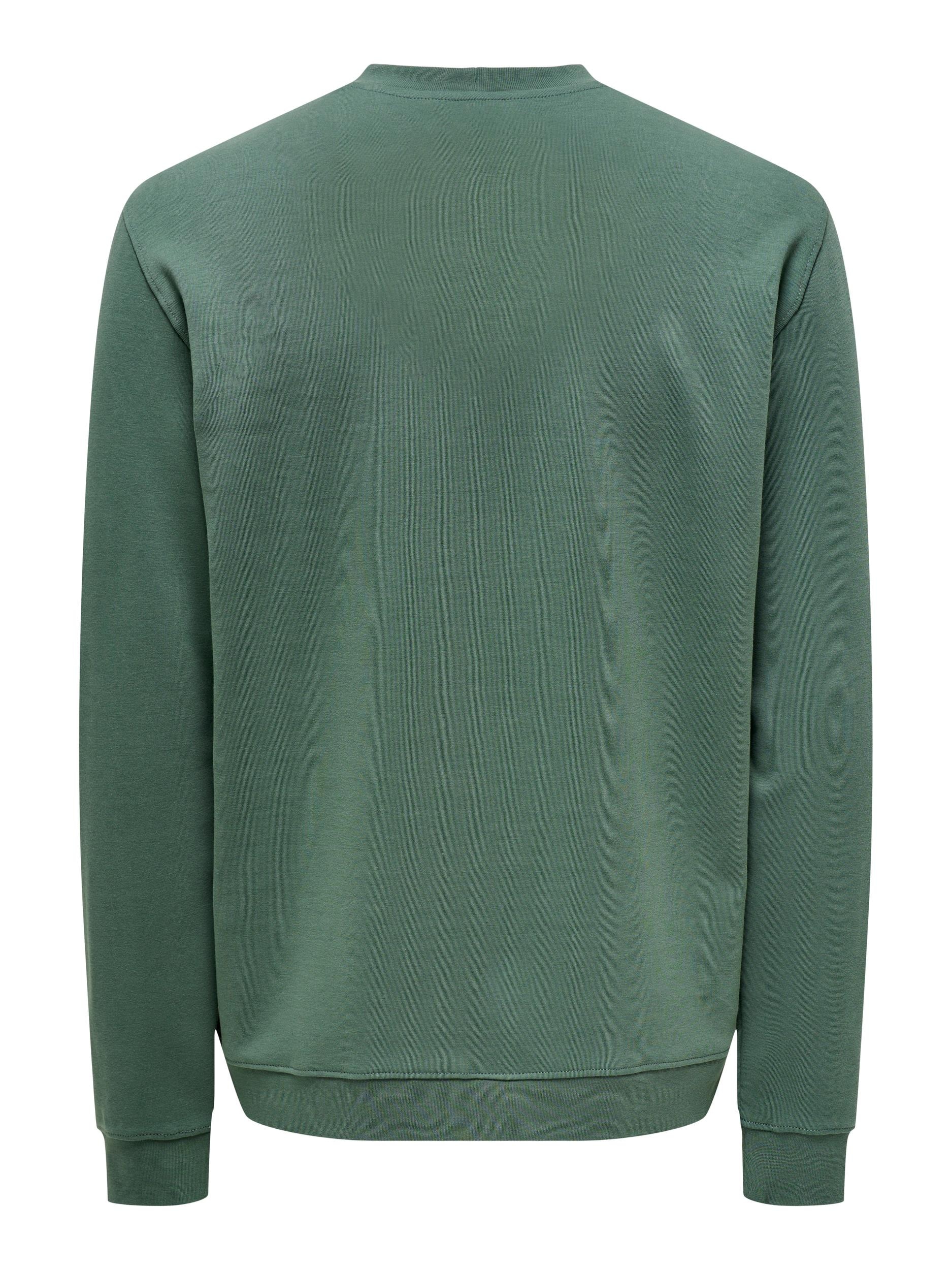 ONLY & SONS Sweatshirt "ONSLAMER REG INTERLOCK CREW NECK SWEAT" günstig online kaufen