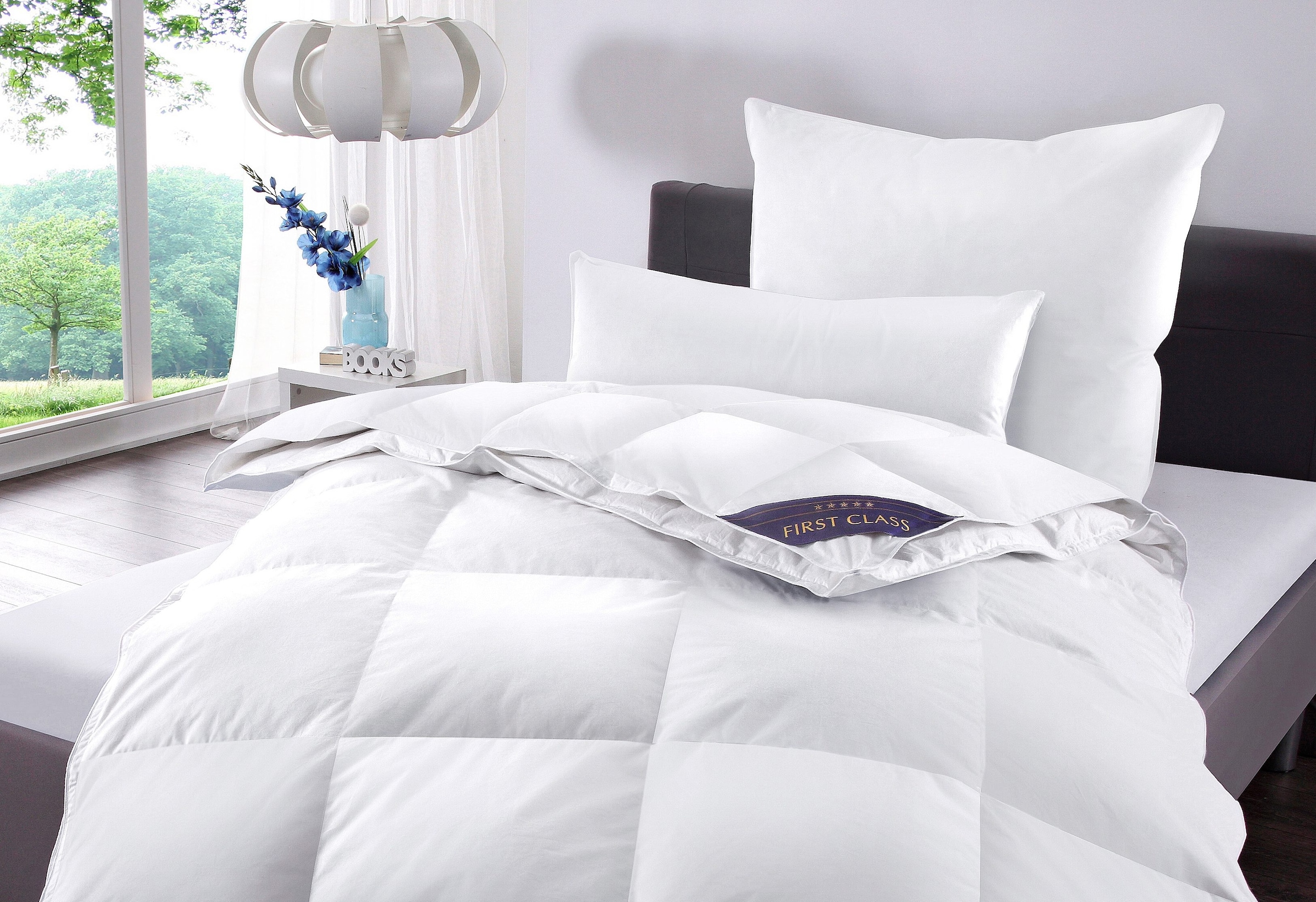 Hanse by RIBECO Daunenbettdecke "Jonas, 4-Jahreszeitenbettdecke 135x200 & 1 günstig online kaufen