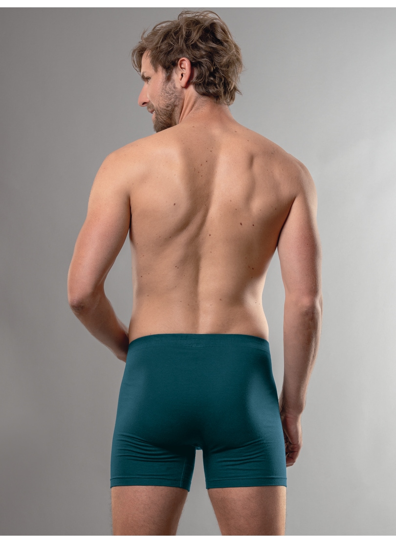 Trigema Boxer »TRIGEMA Herren Pant in bequemer Stretch-Qualität«, (1 St.)
