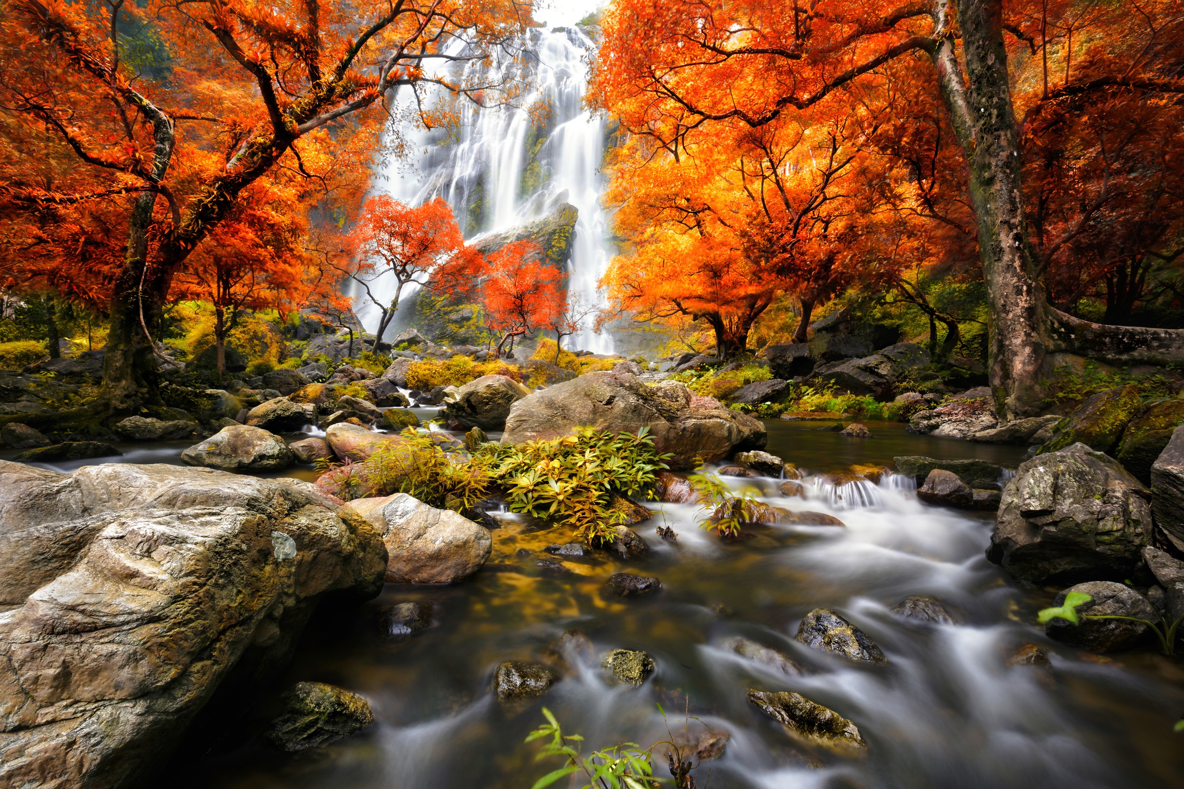 Papermoon Fototapete "WASSERFALL-HERBST BÄUME WALD NATUR LANDSCHAFT DSCHUNG günstig online kaufen