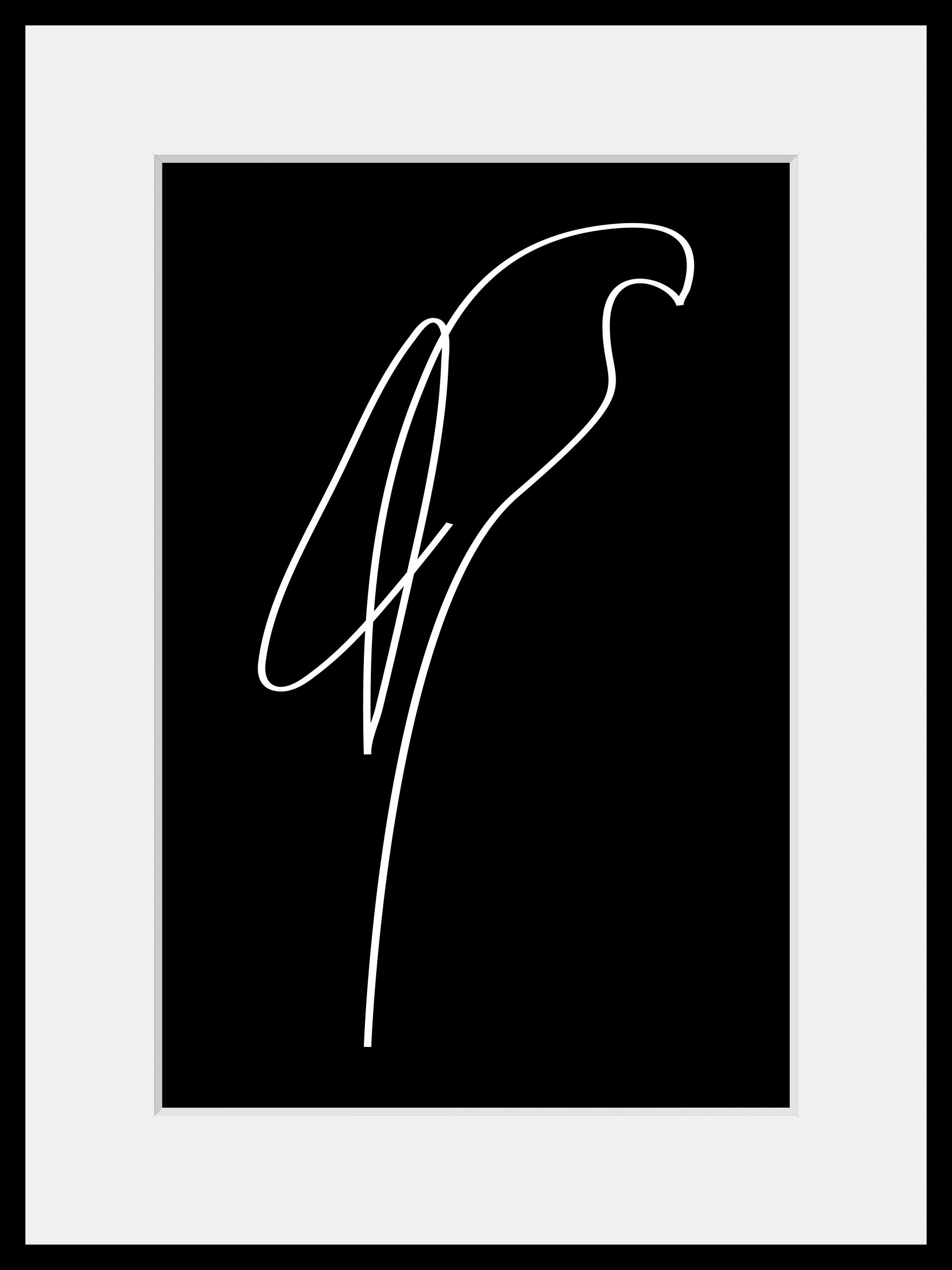 queence Bild "Julian", Schwarz-Weiß-Kunst-Modern-Vögel-Vogelbilder-Papageie günstig online kaufen
