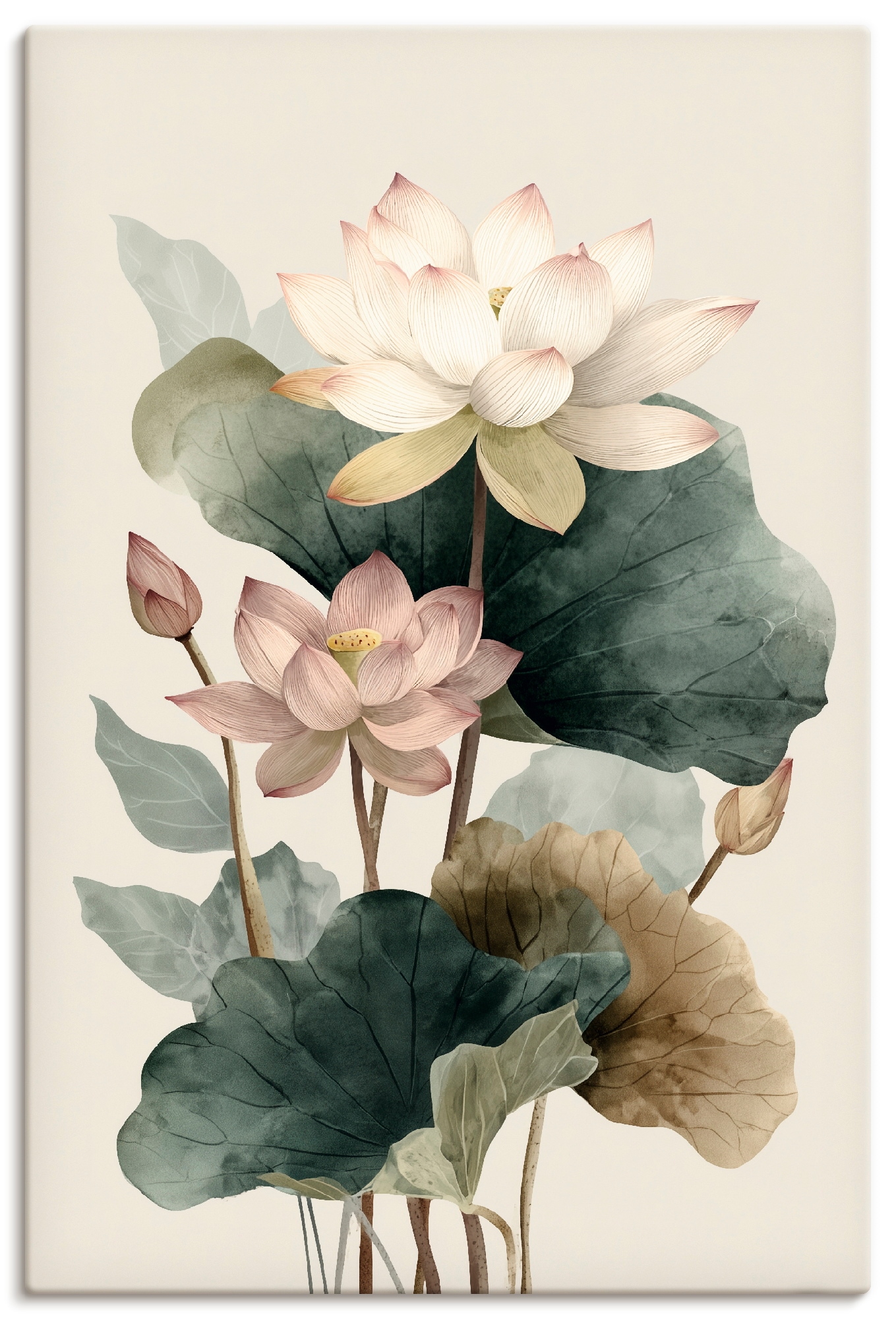 Artland Wandbild "Lotus" Blumenbilder 1 Stk. tlg. als Alubild, Leinwandbild, Poster, Wandaufkleber in verschied. Größen
