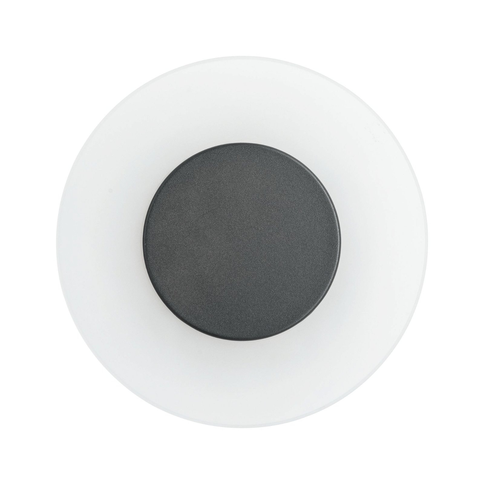 Paulmann LED Außen-Wandleuchte »Circea IP44 220mm 3000K 4W 90lm 230V Anthrazit Aluminium«, 1 flammig