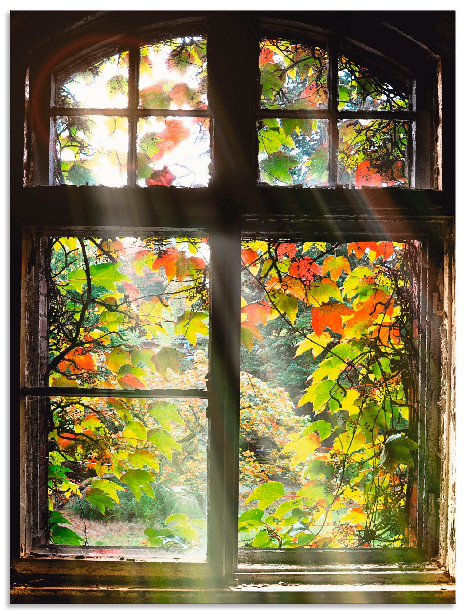 Artland Wandbild "Altbau" Fenster & Türen 1 Stk. tlg. als Alubild, Outdoorb günstig online kaufen