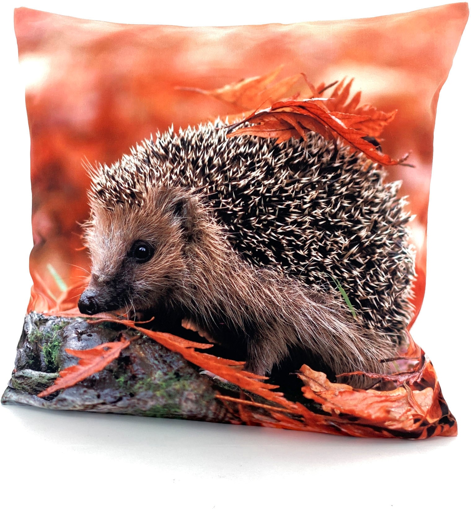 Weckbrodt Dekokissen "Igel"