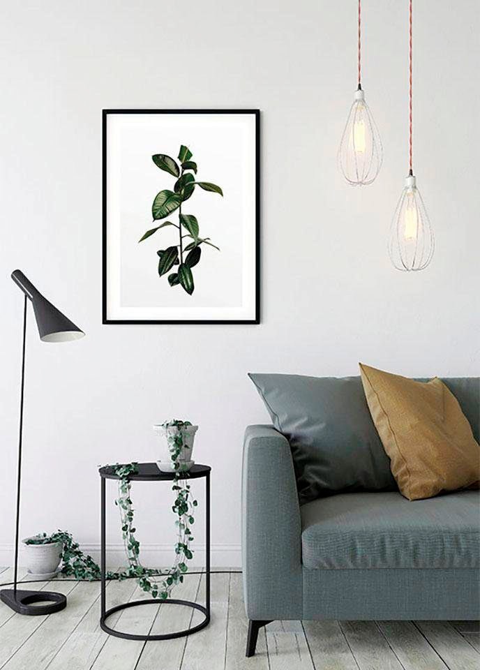 Komar Poster »Ficus Branch«, Pflanzen, (1 St.), Kinderzimmer, Schlafzimmer,  Wohnzimmer | BAUR