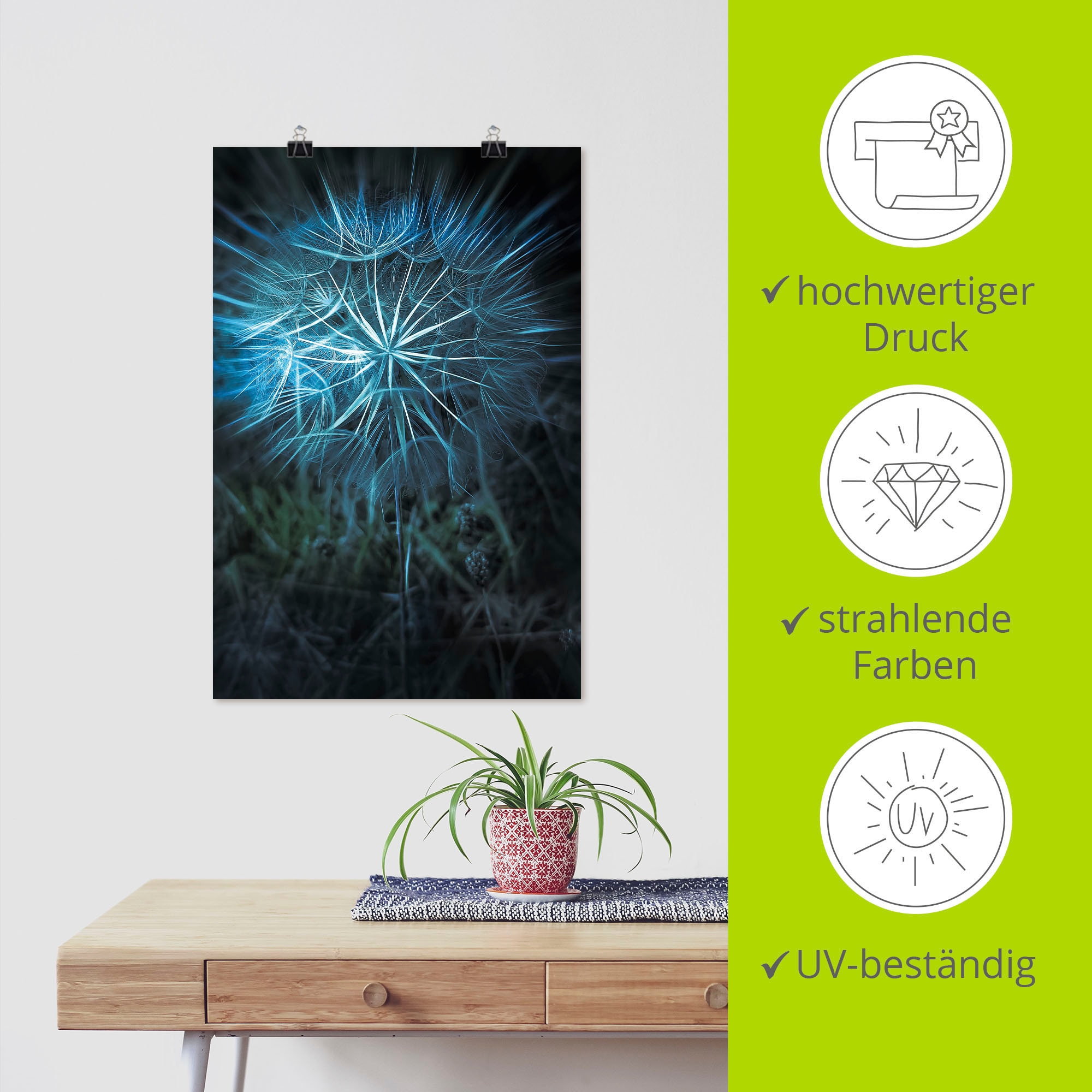 Artland Wandbild »Pusteblume Nahaufnahme Blau«, Blumenbilder, (1 St.), als  Alubild, Leinwandbild, Wandaufkleber oder Poster in versch. Größen  bestellen | BAUR