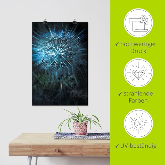 Artland Wandbild »Pusteblume Nahaufnahme Blau«, Blumenbilder, (1 St.), als  Alubild, Leinwandbild, Wandaufkleber oder Poster in versch. Größen  bestellen | BAUR