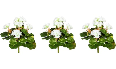 Creativ green Kunstblume »Minigeranie«, (3 St.) kaufen