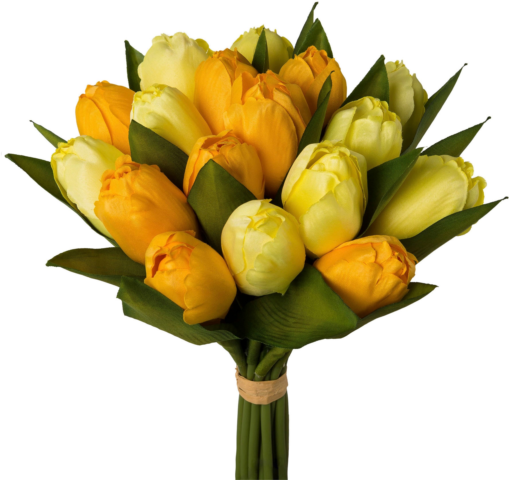 OTTO home Kunsttulpe "Tulpenbund"