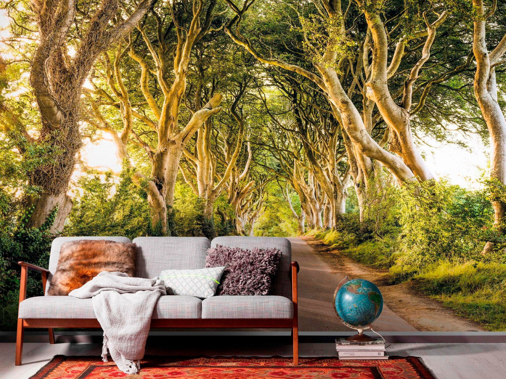 Komar Vliestapete »Digitaldruck Vlies - Golden Hedges - Größe 400 x 250 cm«, bedruckt, Wohnzimmer, Schlafzimmer