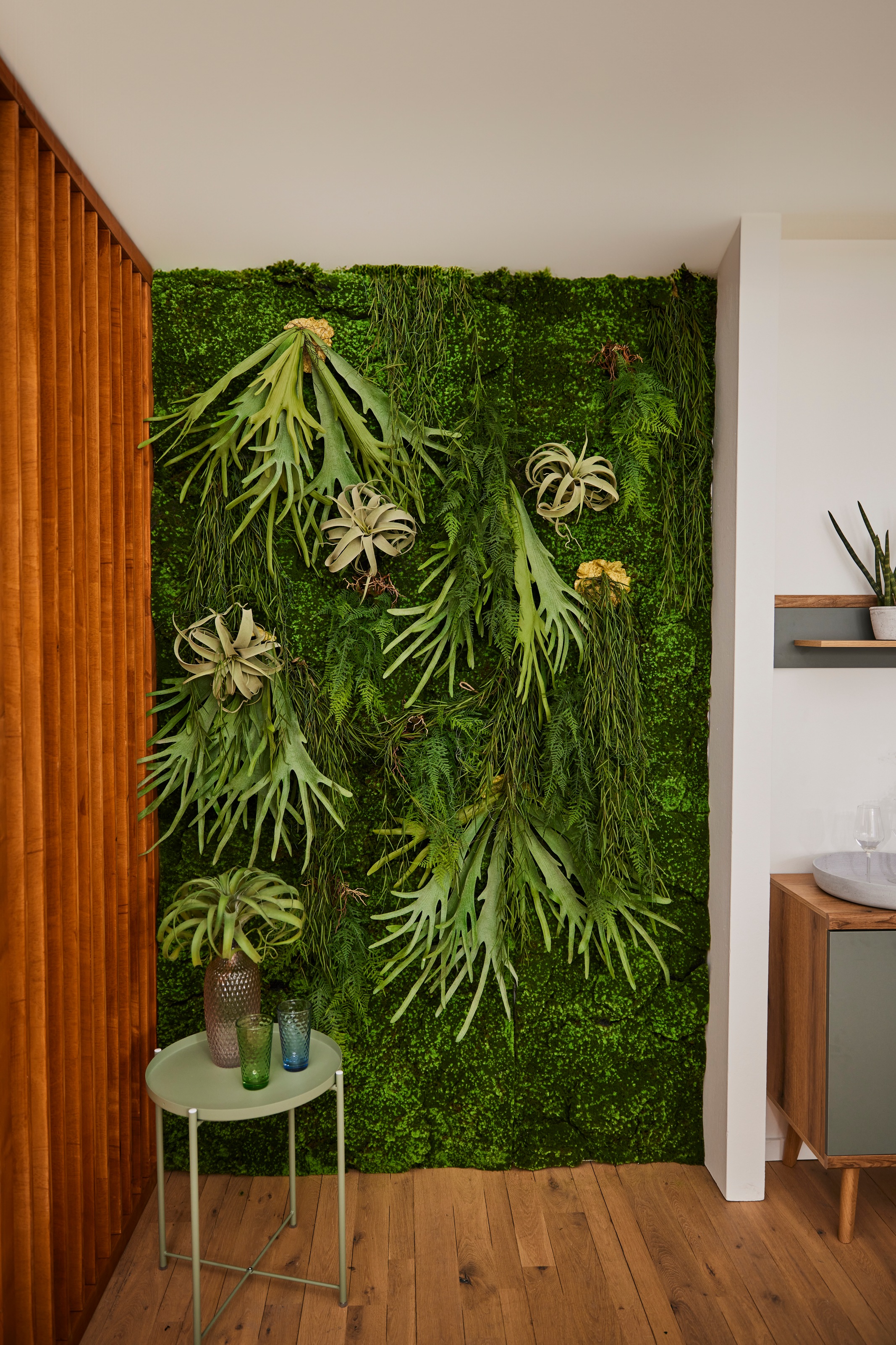 Creativ green Kunstpflanze "Tillandsie" günstig online kaufen