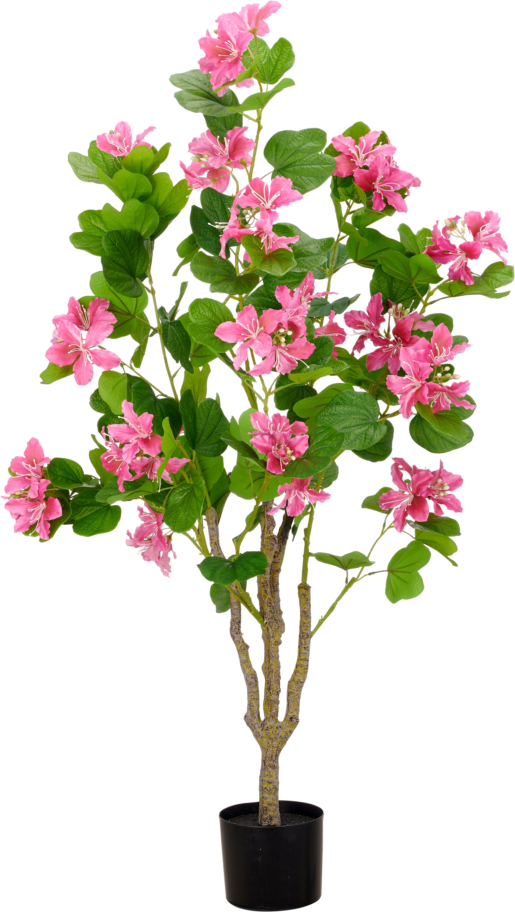 Creativ green Kunstbaum "Bauhinia" mit traumhaft schönen Blüten