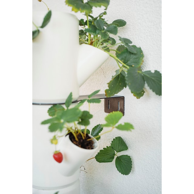 Gusta Garden Pflanzkübel »SISSI STRAWBERRY Erdbeerbaum«, 10 Etagen inkl.  Untersetzer, Erdbeeren anbauen leicht gemacht bestellen | BAUR