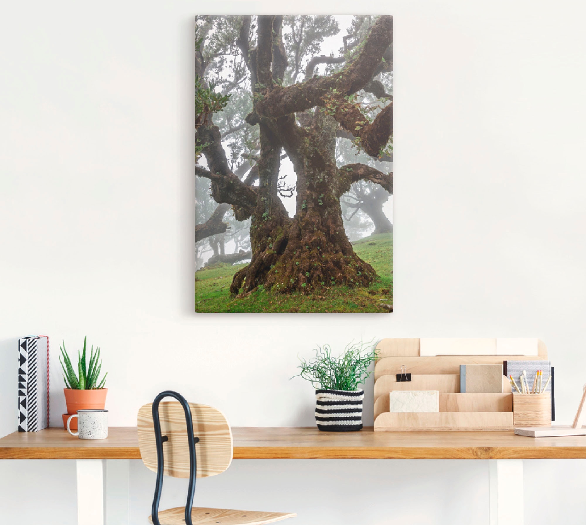 Artland Wandbild »Alter Lorbeerbaum«, Bäume, (1 St.), als Leinwandbild, Poster in verschied. Größen