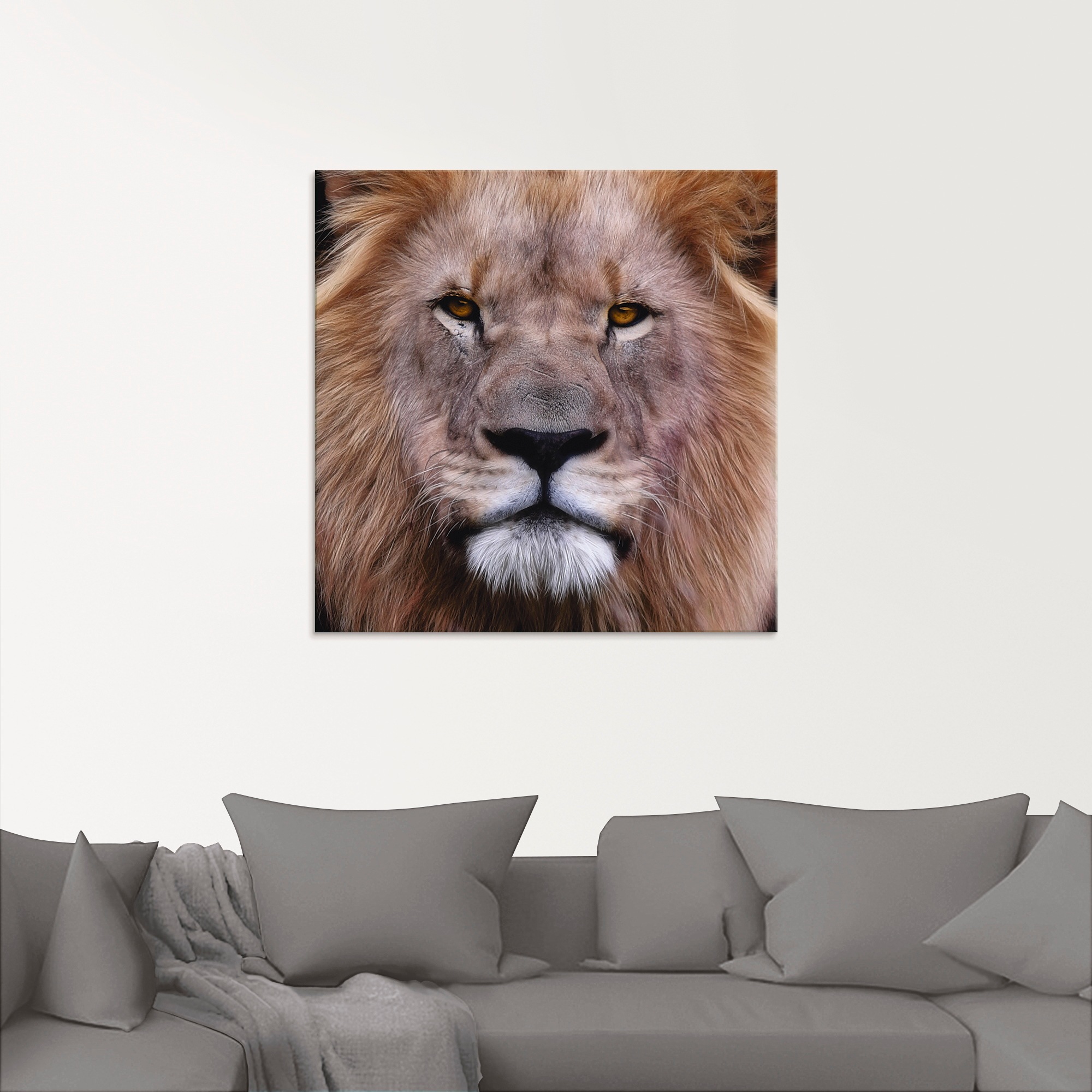 Artland Glasbild »König der Löwen«, Wildtiere, (1 St.), in verschiedenen Größen