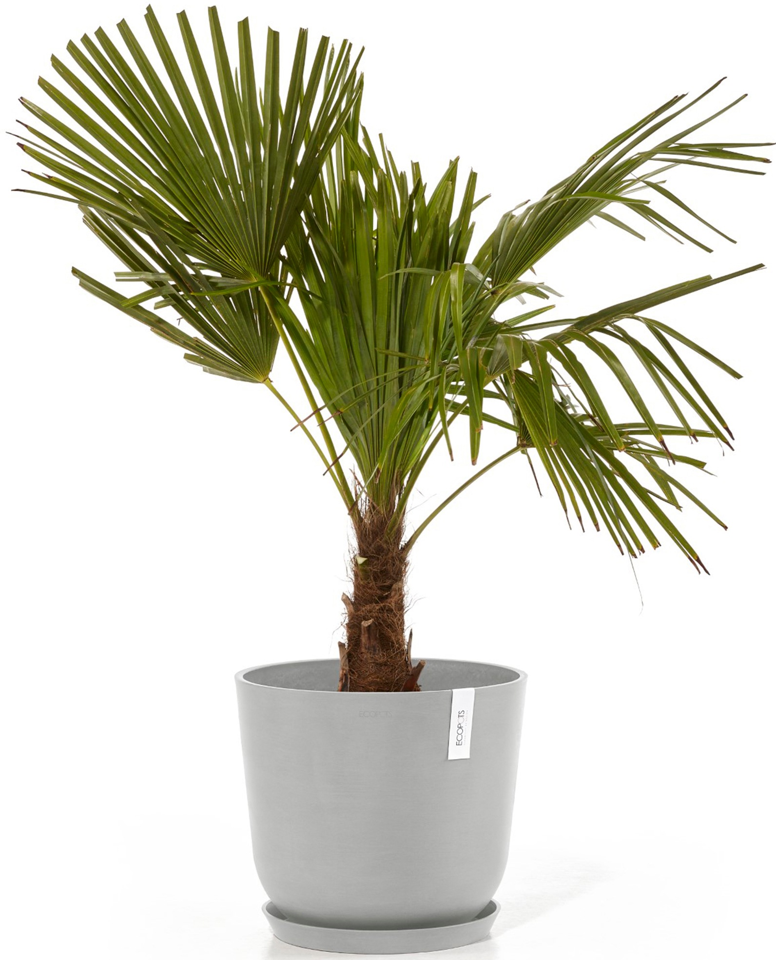 ECOPOTS Blumentopf »Oslo 35 + Wassersystem Weißgrau«, für innen und außen: frostsicher, bruchsicher und lichtbeständig