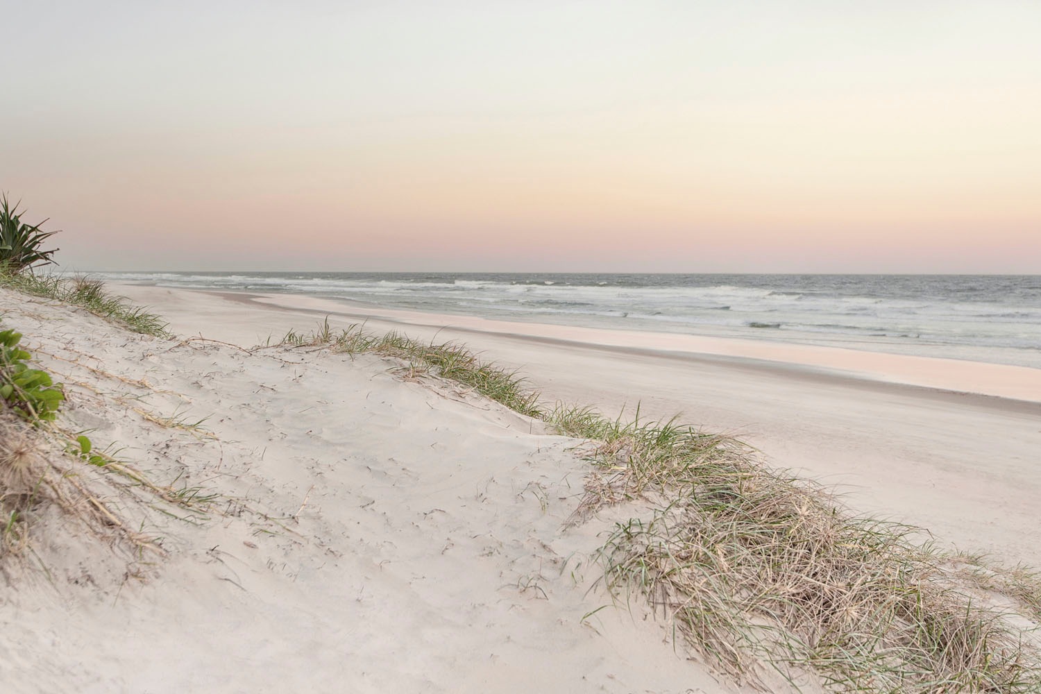 queence Acrylglasbild "Evek" Deutschland  Düne  Gräser  Himmel  Meer  Meer günstig online kaufen