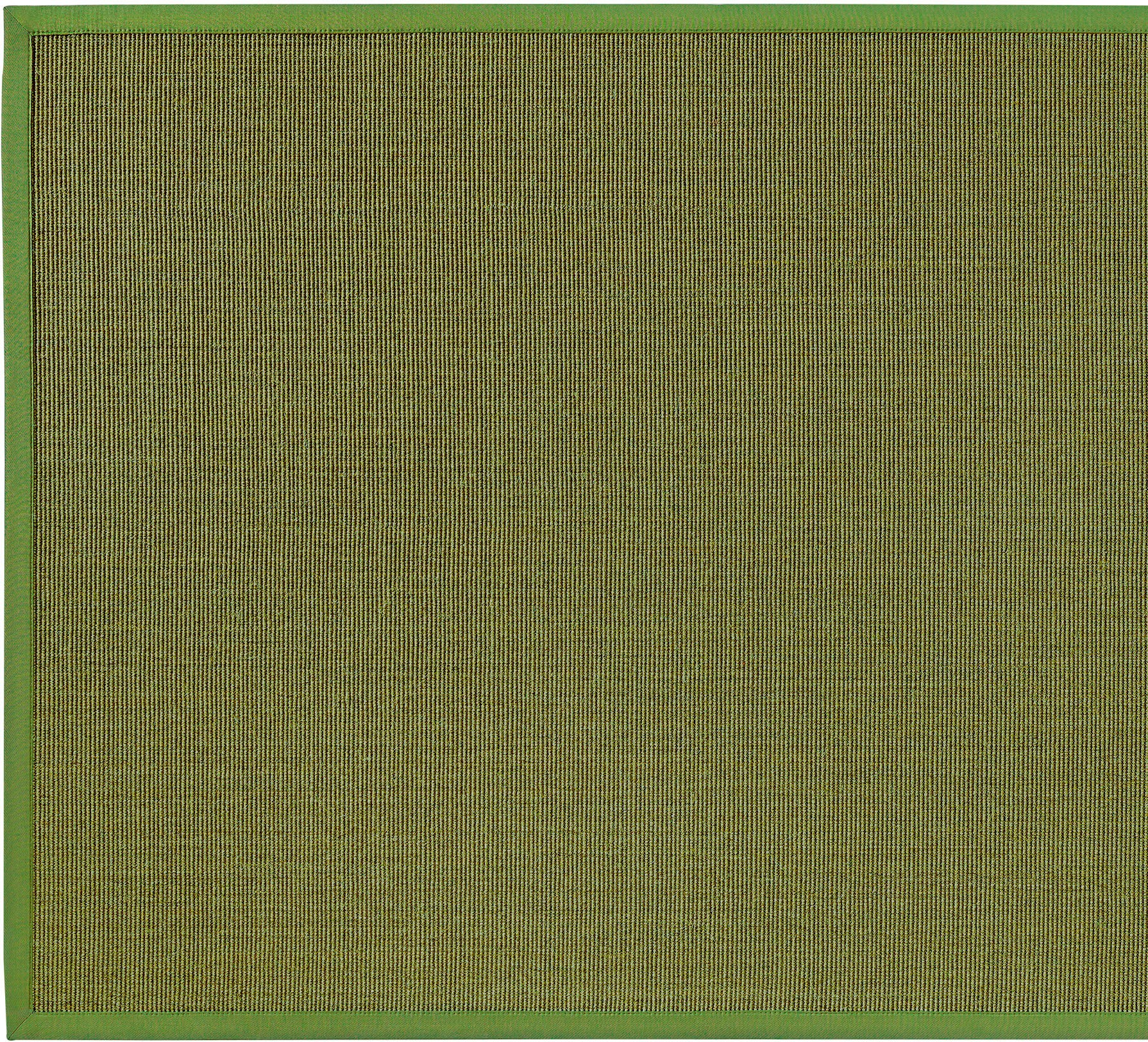 Thumbnail - Dekowe Sisalteppich "Mara S2 mit Bordüre", rechteckig, 5 mm Höhe, Flachgewebe, Material: 100% Sisal, Wohnzimmer