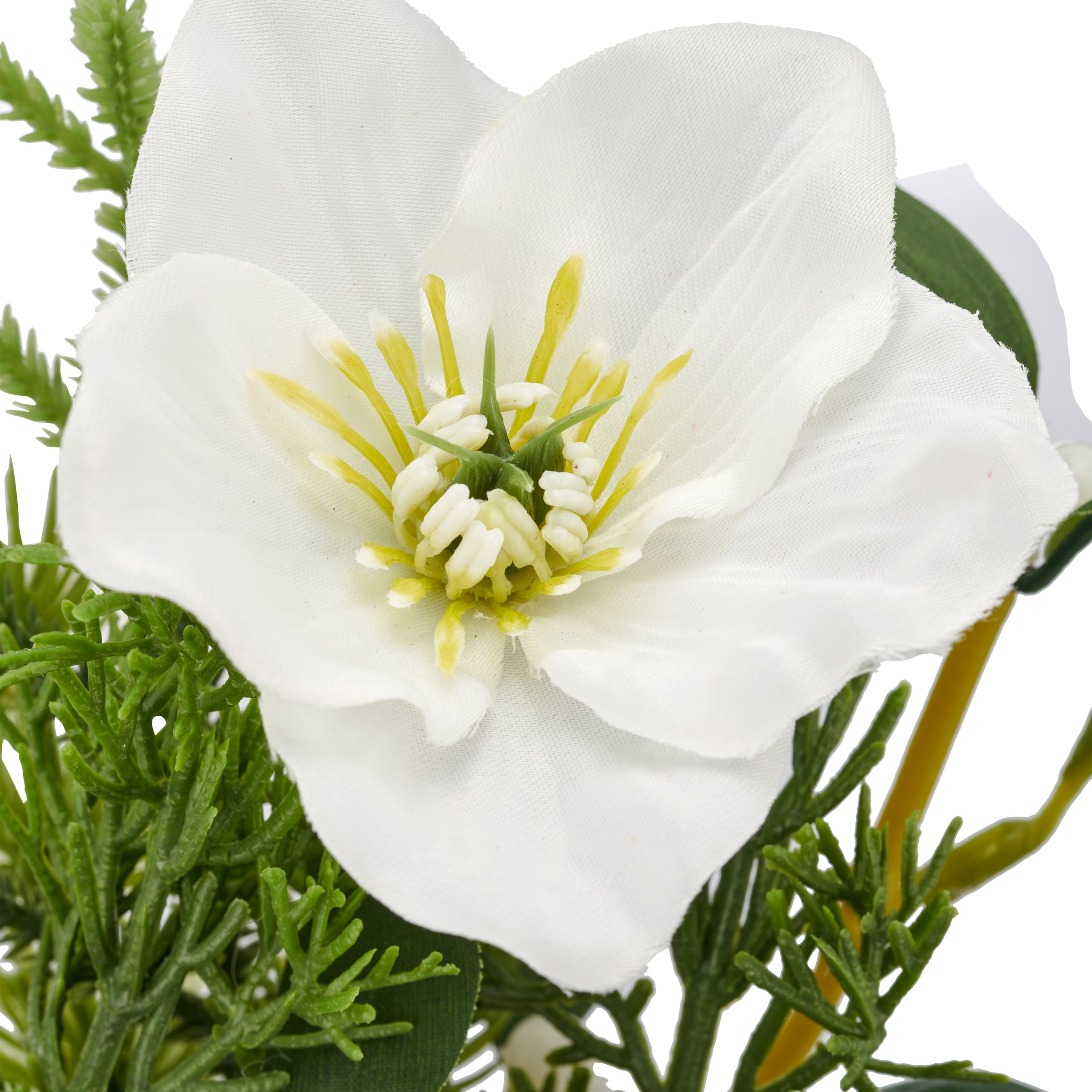 Creativ green Winterliche Kunstpflanze »Arrangement mit Christrose« mit Tannenzweigen und Zapfen