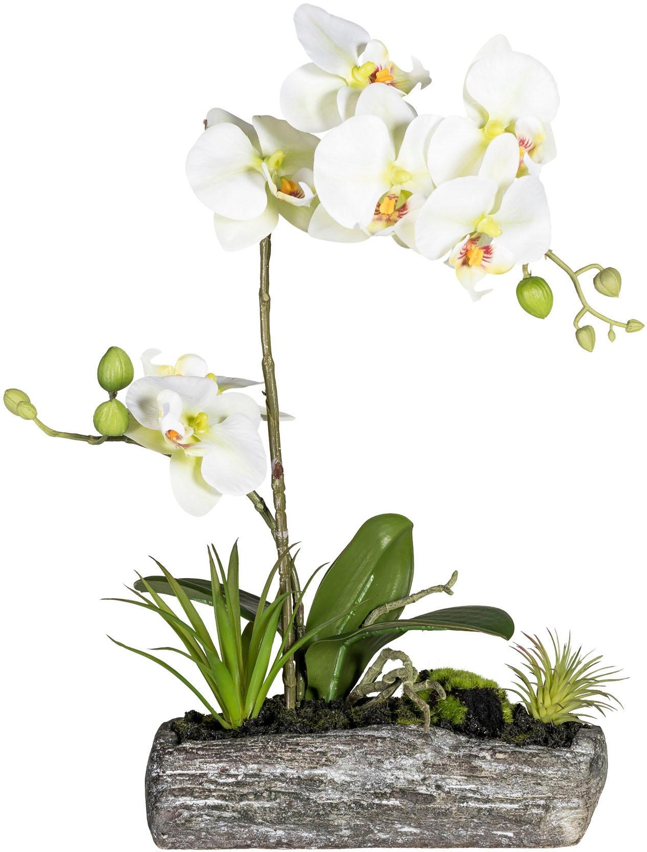 Kunstpflanze »Phalaenopsis«