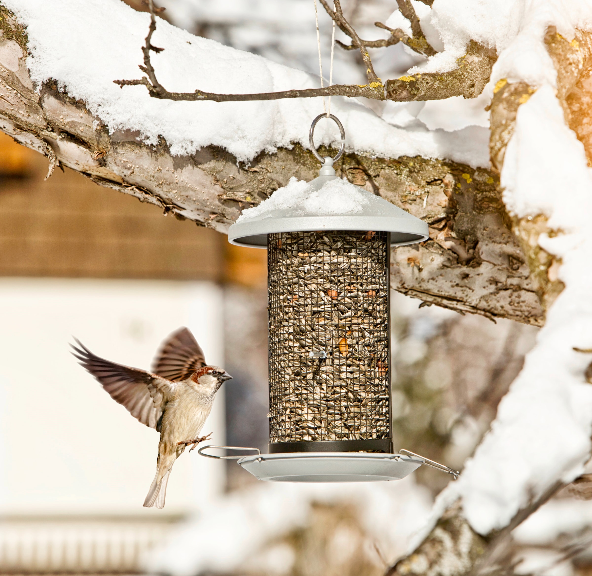 Windhager Futterhaus »Vogelhaus Happy Bird« BxTxH: 20x24x30,5 cm