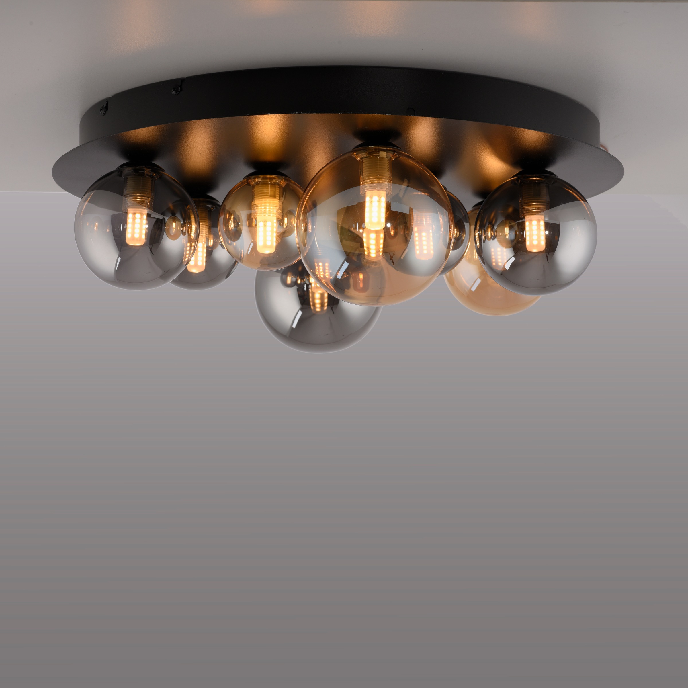 Paul Neuhaus LED Deckenleuchte »POPSICLE« G9 1 Stk. Warmweiß Rauch und Ambergläser in vers. Größen