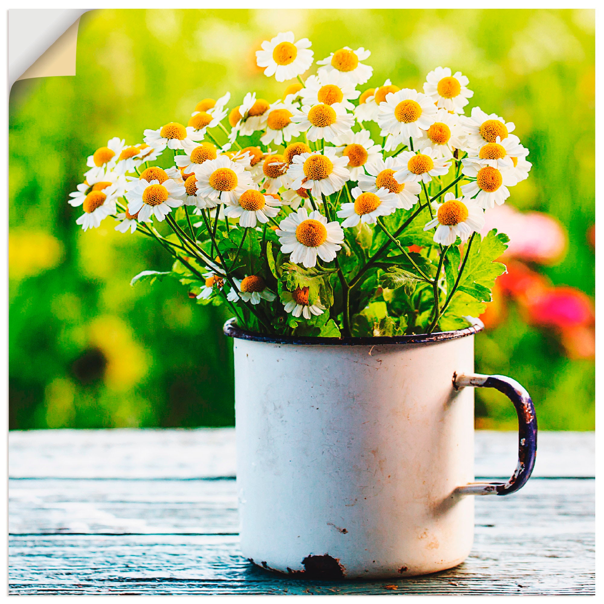 Artland Wandbild "Frühlingsgarten mit Gänseblümchen", Blumen, (1 St.), als günstig online kaufen